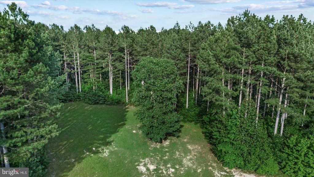 6109 PARTLOW RD, SPOTSYLVANIA, Virginia 22551, 3 Bedrooms Bedrooms, ,2 BathroomsBathrooms,Residential,6109 PARTLOW RD,VASP2033968 MLS # VASP2033968