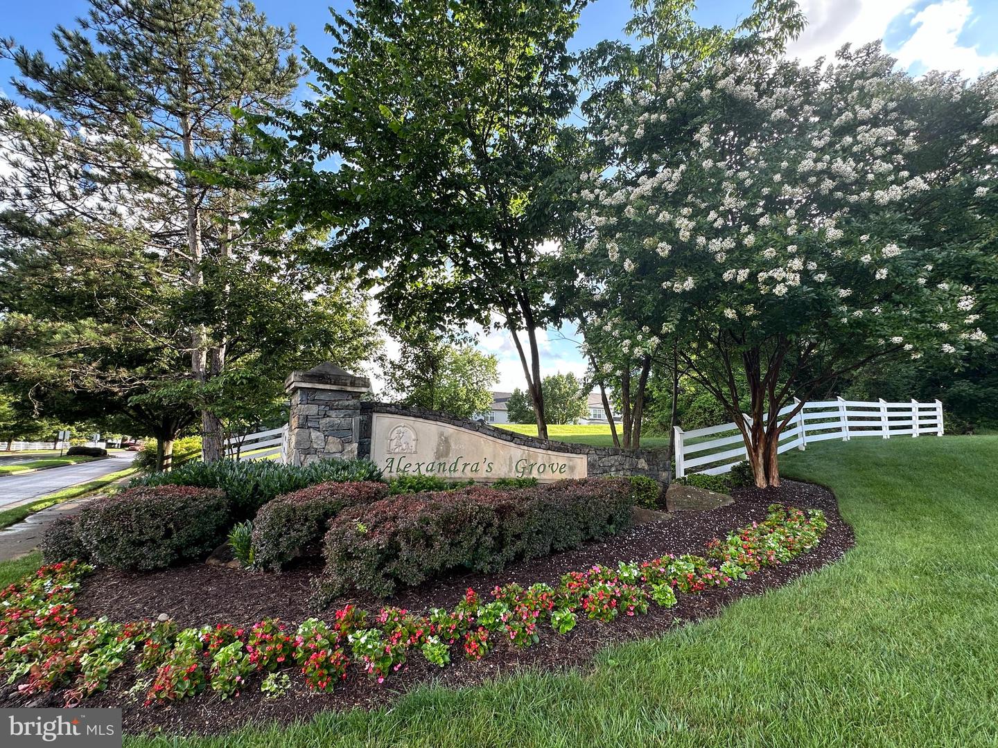 19955 ALEXANDRAS GROVE DR, ASHBURN, Virginia 20147, 5 Bedrooms Bedrooms, ,3 BathroomsBathrooms,Residential,For sale,19955 ALEXANDRAS GROVE DR,VALO2099318 MLS # VALO2099318