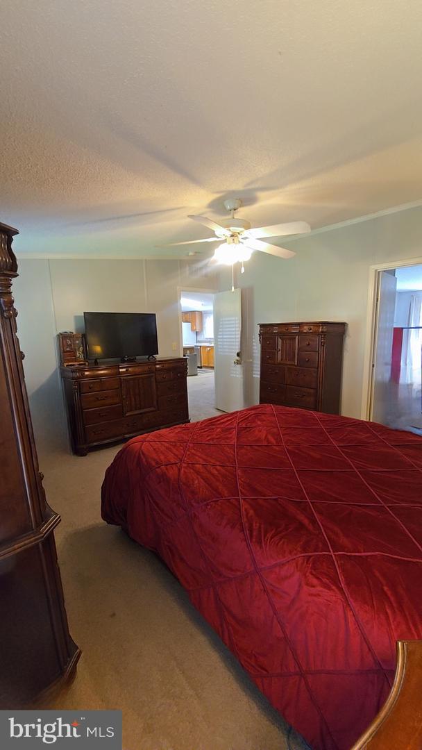 14529 PASSING RD, BOWLING GREEN, Virginia 22427, 3 Bedrooms Bedrooms, ,2 BathroomsBathrooms,Residential,For sale,14529 PASSING RD,VACV2008334 MLS # VACV2008334