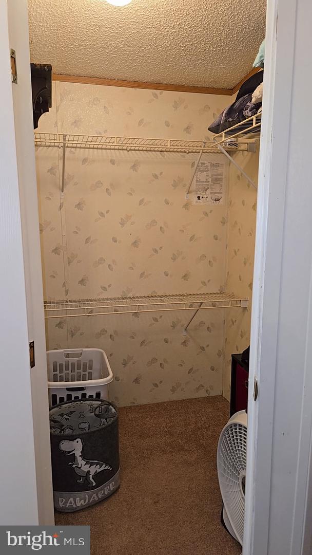14529 PASSING RD, BOWLING GREEN, Virginia 22427, 3 Bedrooms Bedrooms, ,2 BathroomsBathrooms,Residential,For sale,14529 PASSING RD,VACV2008334 MLS # VACV2008334