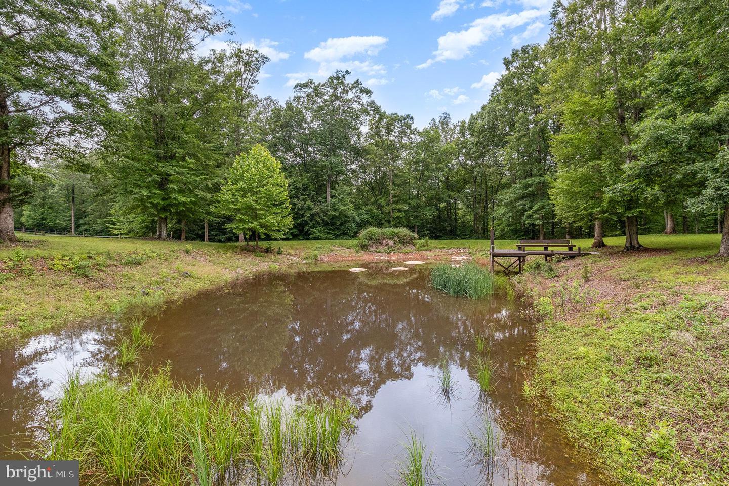 4323 MOUNT EPHRAIM RD, SUMERDUCK, Virginia 22742, 6 Bedrooms Bedrooms, ,5 BathroomsBathrooms,Residential,For sale,4323 MOUNT EPHRAIM RD,VAFQ2017086 MLS # VAFQ2017086