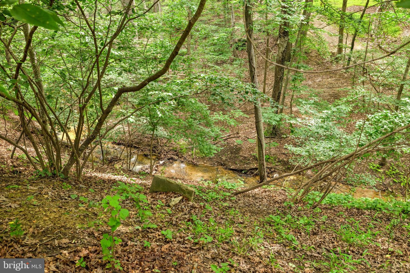 394 WHITE OAK LN, BLUEMONT, Virginia 20135, 1 Bedroom Bedrooms, ,1 BathroomBathrooms,Residential,For sale,394 WHITE OAK LN,VACL2003850 MLS # VACL2003850