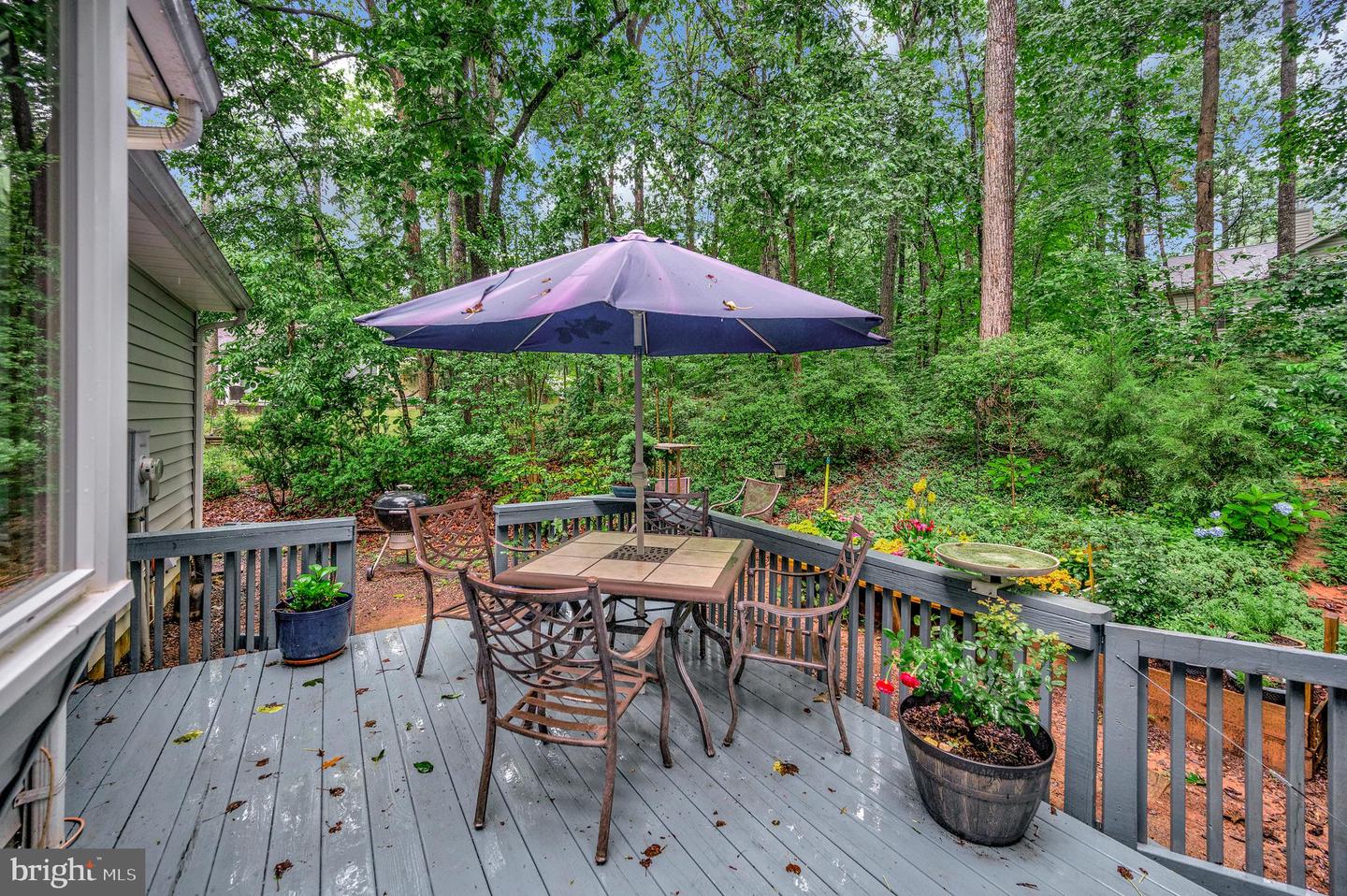 215 MT PLEASANT DR, LOCUST GROVE, Virginia 22508, 3 Bedrooms Bedrooms, ,2 BathroomsBathrooms,Residential,For sale,215 MT PLEASANT DR,VAOR2009978 MLS # VAOR2009978