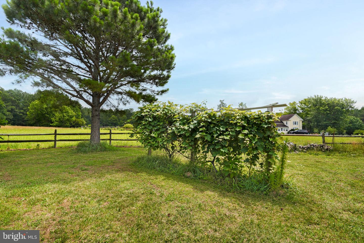 25367 MESSONGO RD, TEMPERANCEVILLE, Virginia 23442, 4 Bedrooms Bedrooms, ,2 BathroomsBathrooms,Residential,For sale,25367 MESSONGO RD,VAAC2001964 MLS # VAAC2001964