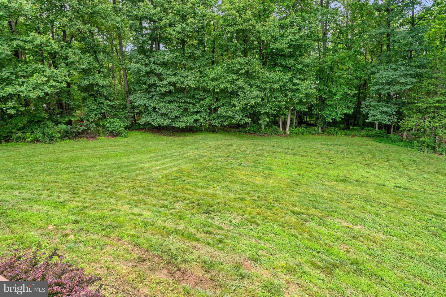 36 LONGWOOD DR, STAFFORD, Virginia 22556, 5 Bedrooms Bedrooms, ,4 BathroomsBathrooms,Residential,For sale,36 LONGWOOD DR,VAST2040038 MLS # VAST2040038