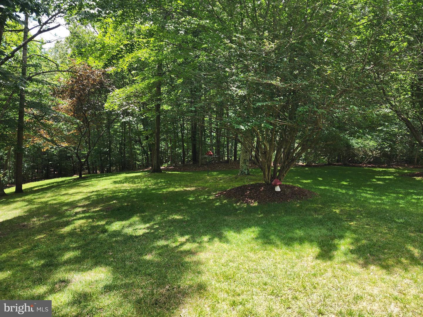 15545 COVEY CIR, AMISSVILLE, Virginia 20106, 3 Bedrooms Bedrooms, ,2 BathroomsBathrooms,Residential,For sale,15545 COVEY CIR,VACU2010852 MLS # VACU2010852