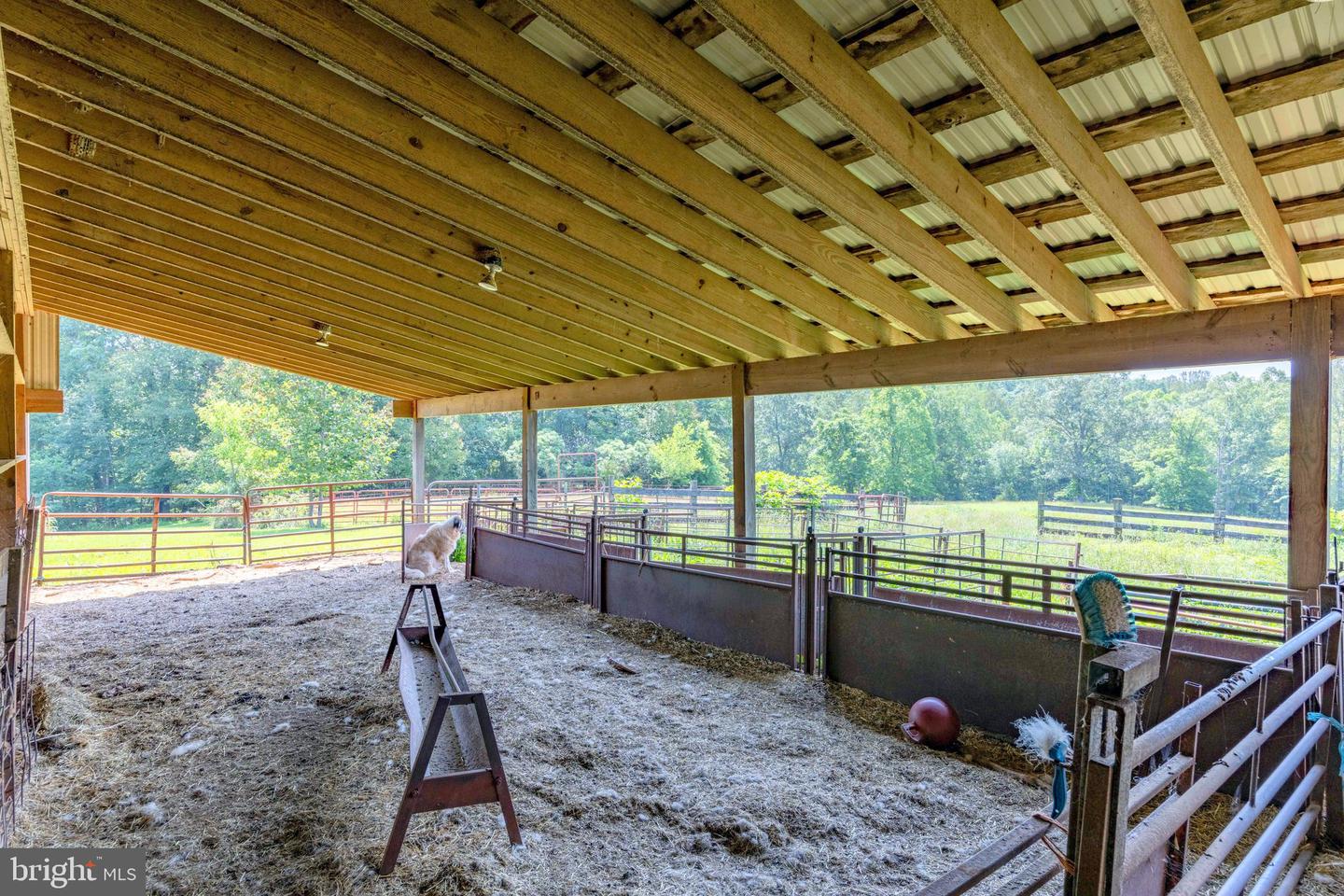 2250 EMERALD HILL RD, SPERRYVILLE, Virginia 22740, 3 Bedrooms Bedrooms, ,2 BathroomsBathrooms,Residential,For sale,2250 EMERALD HILL RD,VACU2010656 MLS # VACU2010656