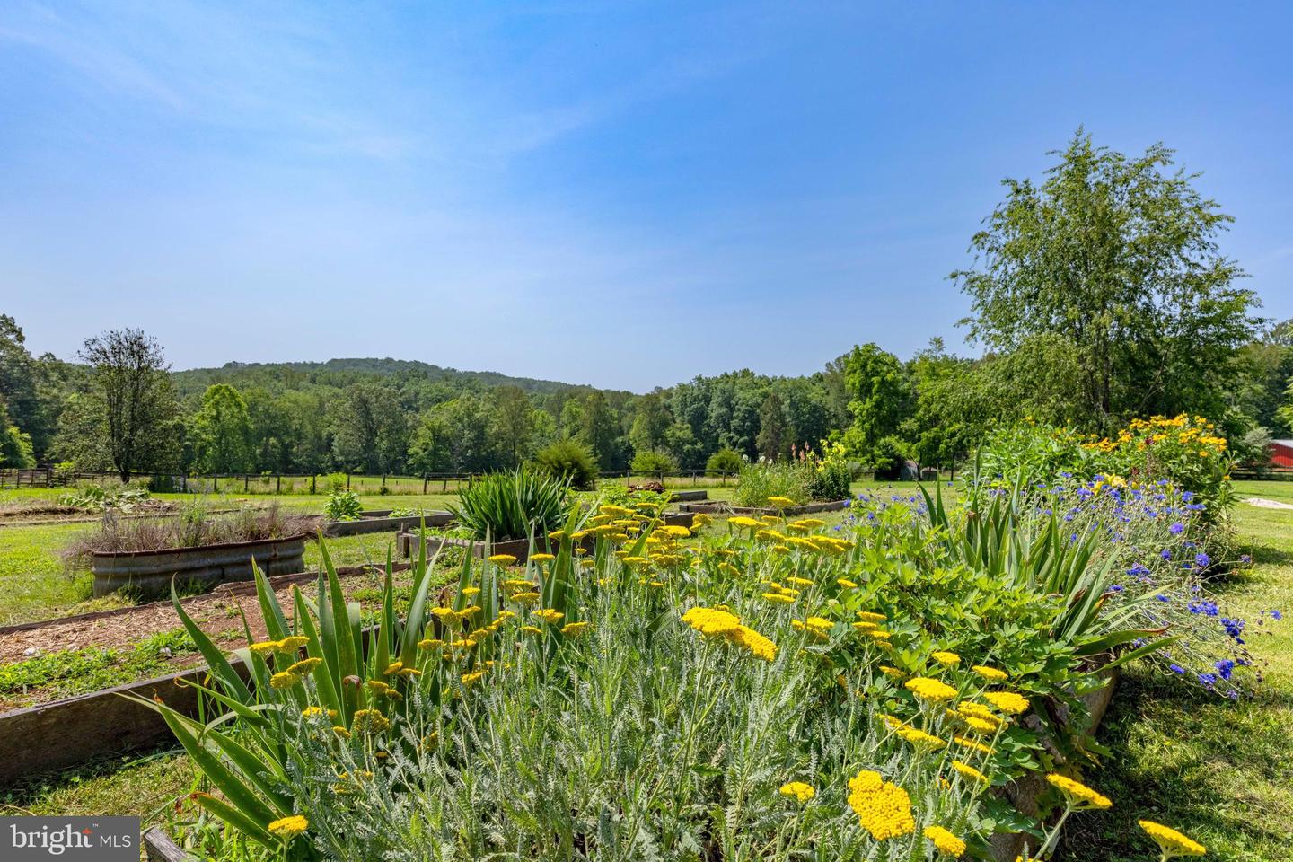 2250 EMERALD HILL RD, SPERRYVILLE, Virginia 22740, 3 Bedrooms Bedrooms, ,2 BathroomsBathrooms,Residential,For sale,2250 EMERALD HILL RD,VACU2010656 MLS # VACU2010656