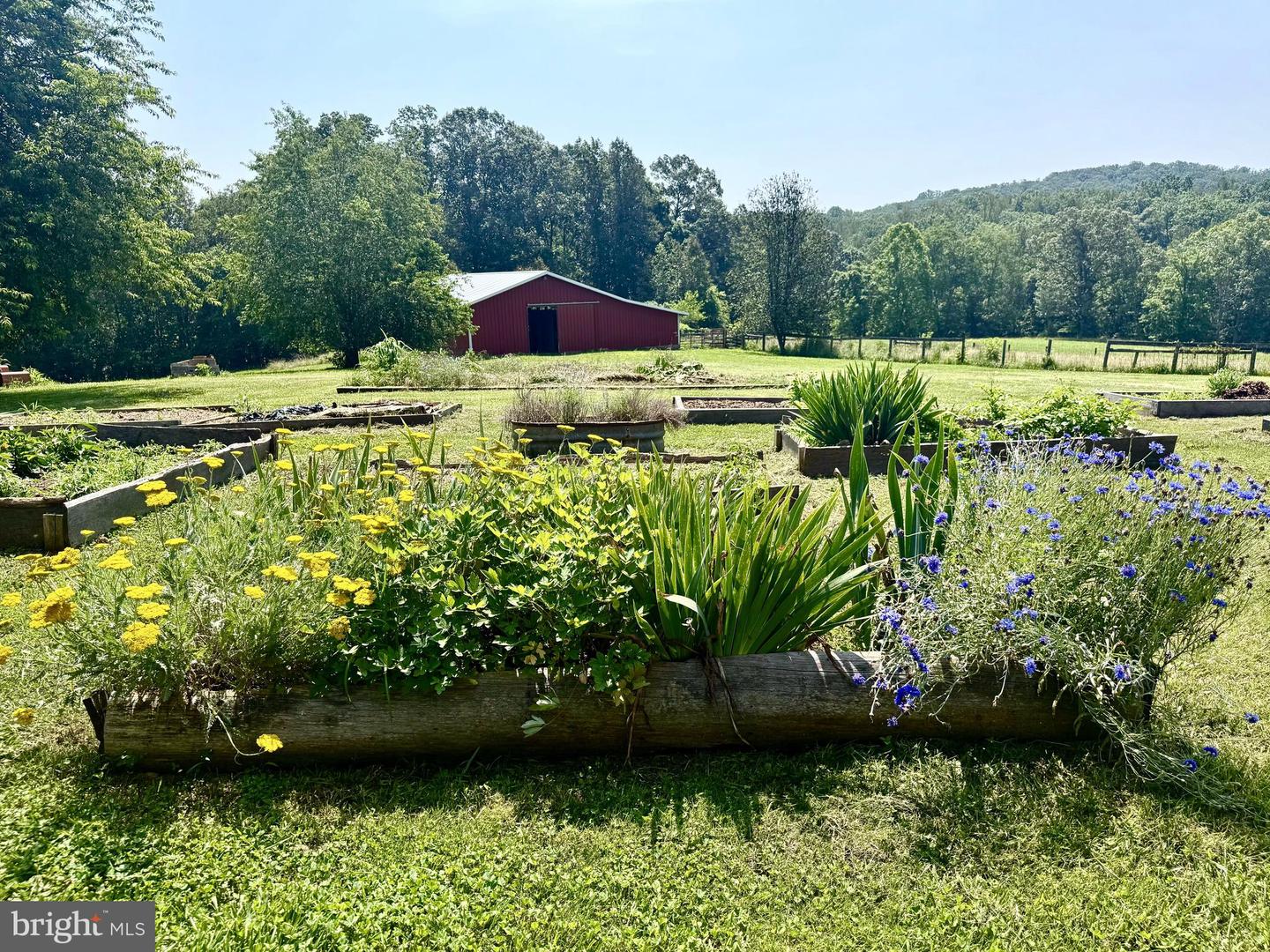 2250 EMERALD HILL RD, SPERRYVILLE, Virginia 22740, 3 Bedrooms Bedrooms, ,2 BathroomsBathrooms,Residential,For sale,2250 EMERALD HILL RD,VACU2010656 MLS # VACU2010656