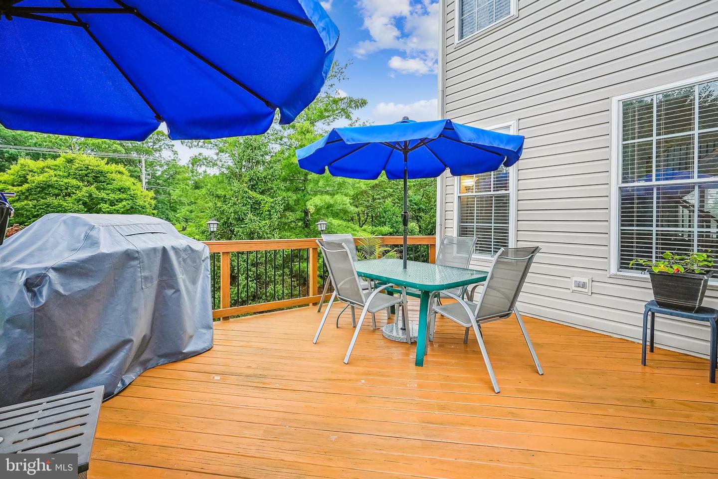 603 HOWITZER TER NE, LEESBURG, Virginia 20176, 3 Bedrooms Bedrooms, ,2 BathroomsBathrooms,Residential,For sale,603 HOWITZER TER NE,VALO2098754 MLS # VALO2098754