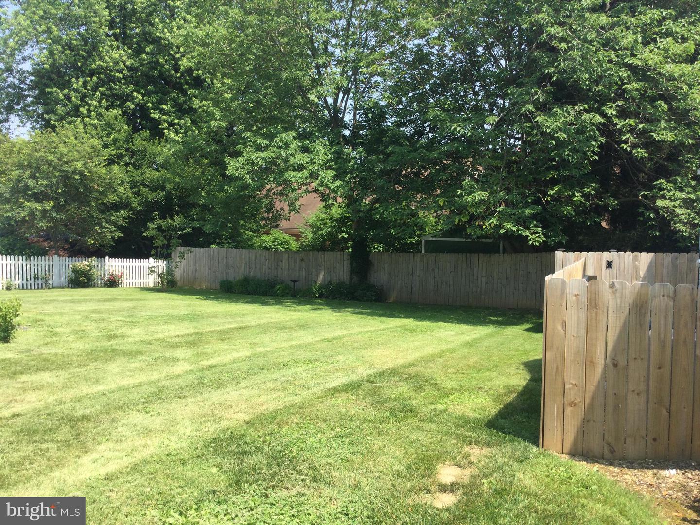 6 PAGE ST, BERRYVILLE, Virginia 22611, 3 Bedrooms Bedrooms, ,1 BathroomBathrooms,Residential,For sale,6 PAGE ST,VACL2003830 MLS # VACL2003830