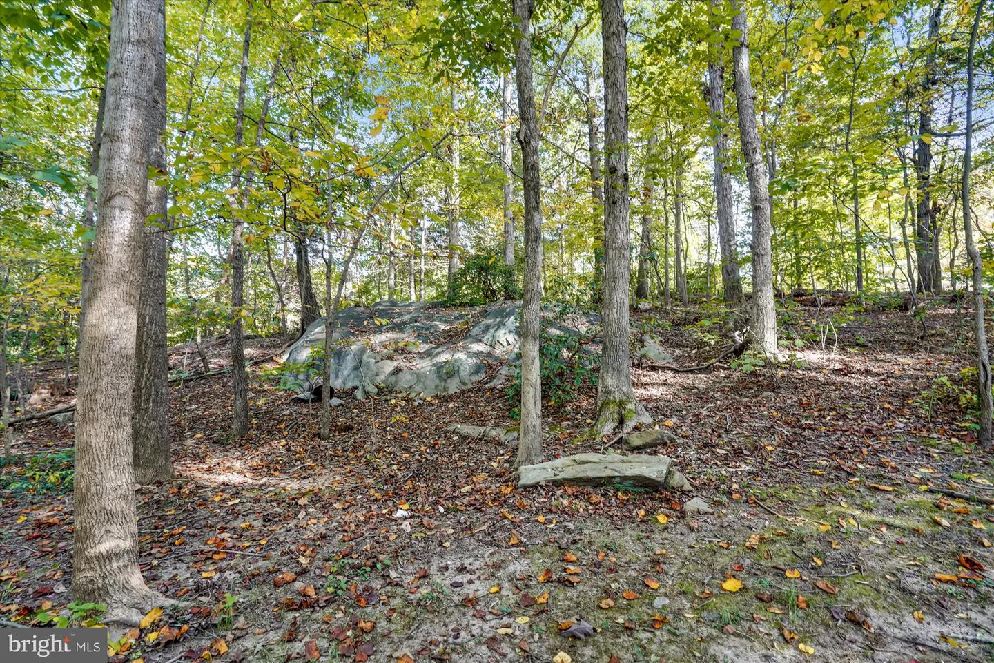 7936 LOBELIA LN, SPRINGFIELD, Virginia 22152, 4 Bedrooms Bedrooms, ,3 BathroomsBathrooms,Residential,For sale,7936 LOBELIA LN,VAFX2246626 MLS # VAFX2246626