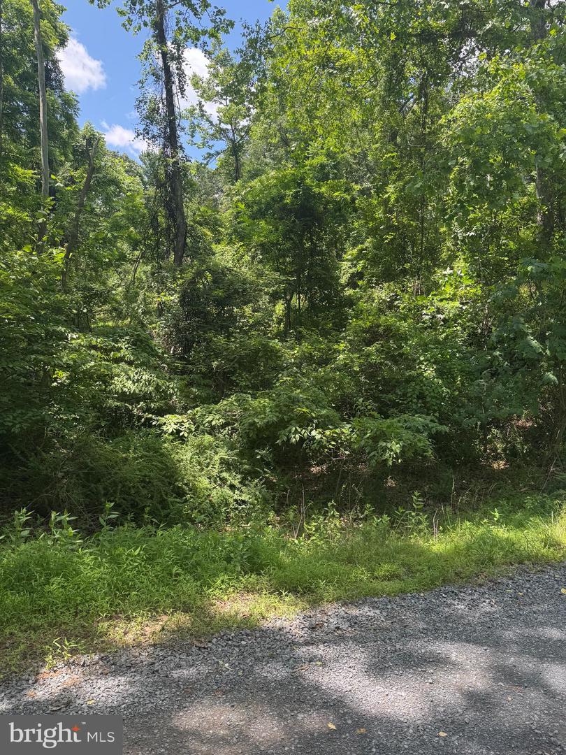 105 FOREST DR, CROSS JUNCTION, Virginia 22625, ,Land,For sale,105 FOREST DR,VAFV2035040 MLS # VAFV2035040