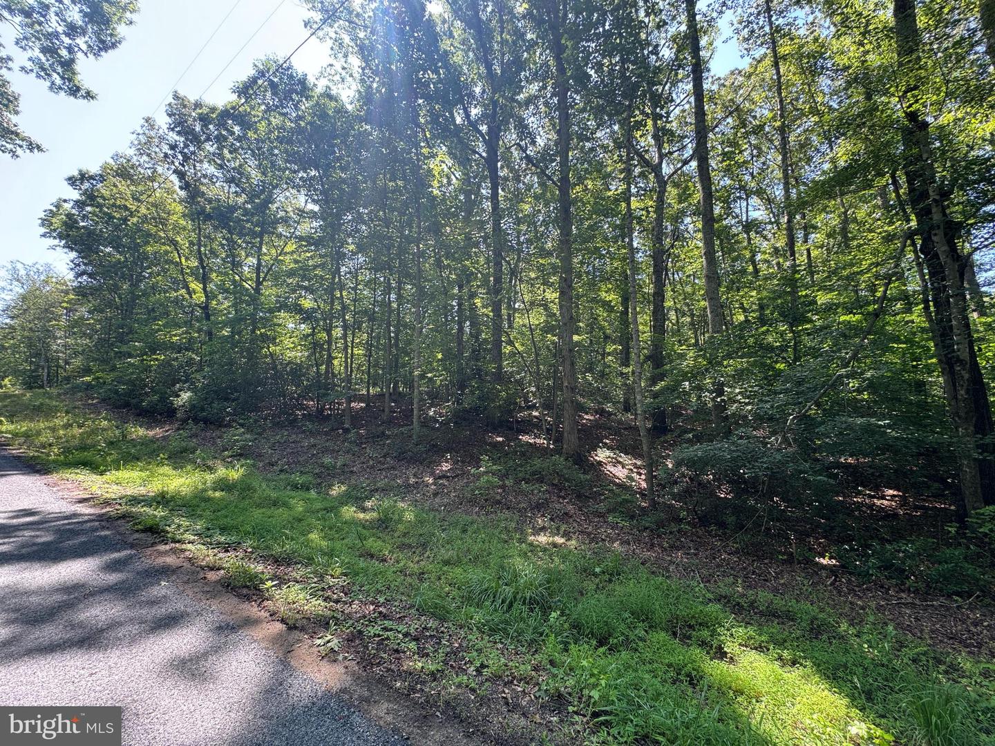 9609 PEPPERTREE RD, SPOTSYLVANIA, Virginia 22553, ,Land,For sale,9609 PEPPERTREE RD,VASP2034172 MLS # VASP2034172