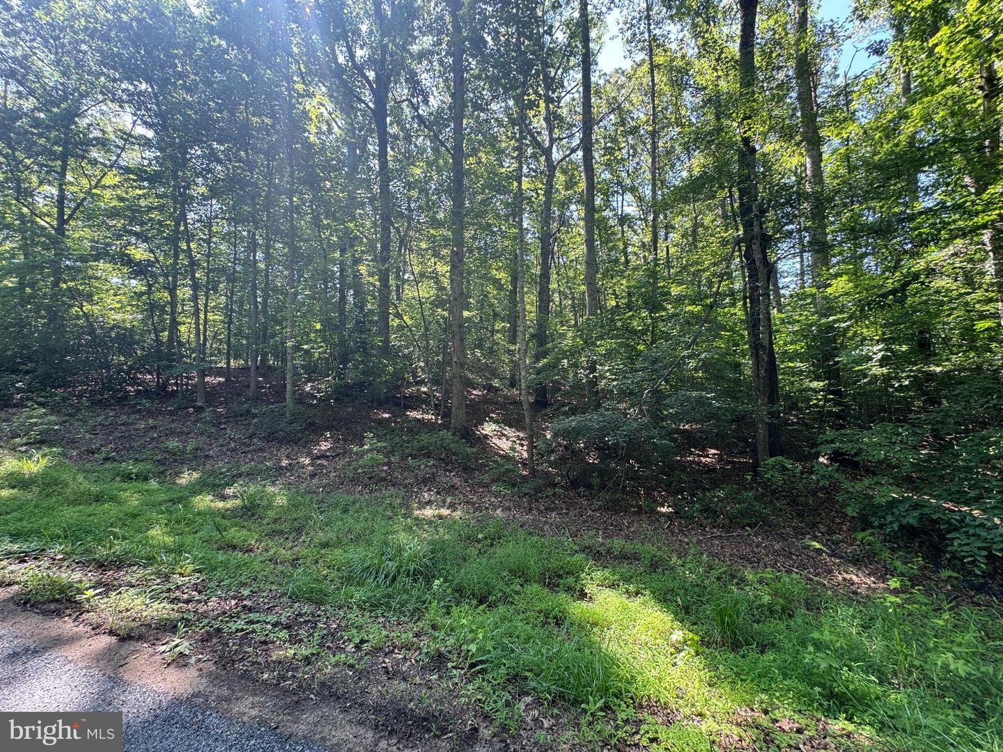 9609 PEPPERTREE RD, SPOTSYLVANIA, Virginia 22553, ,Land,For sale,9609 PEPPERTREE RD,VASP2034172 MLS # VASP2034172