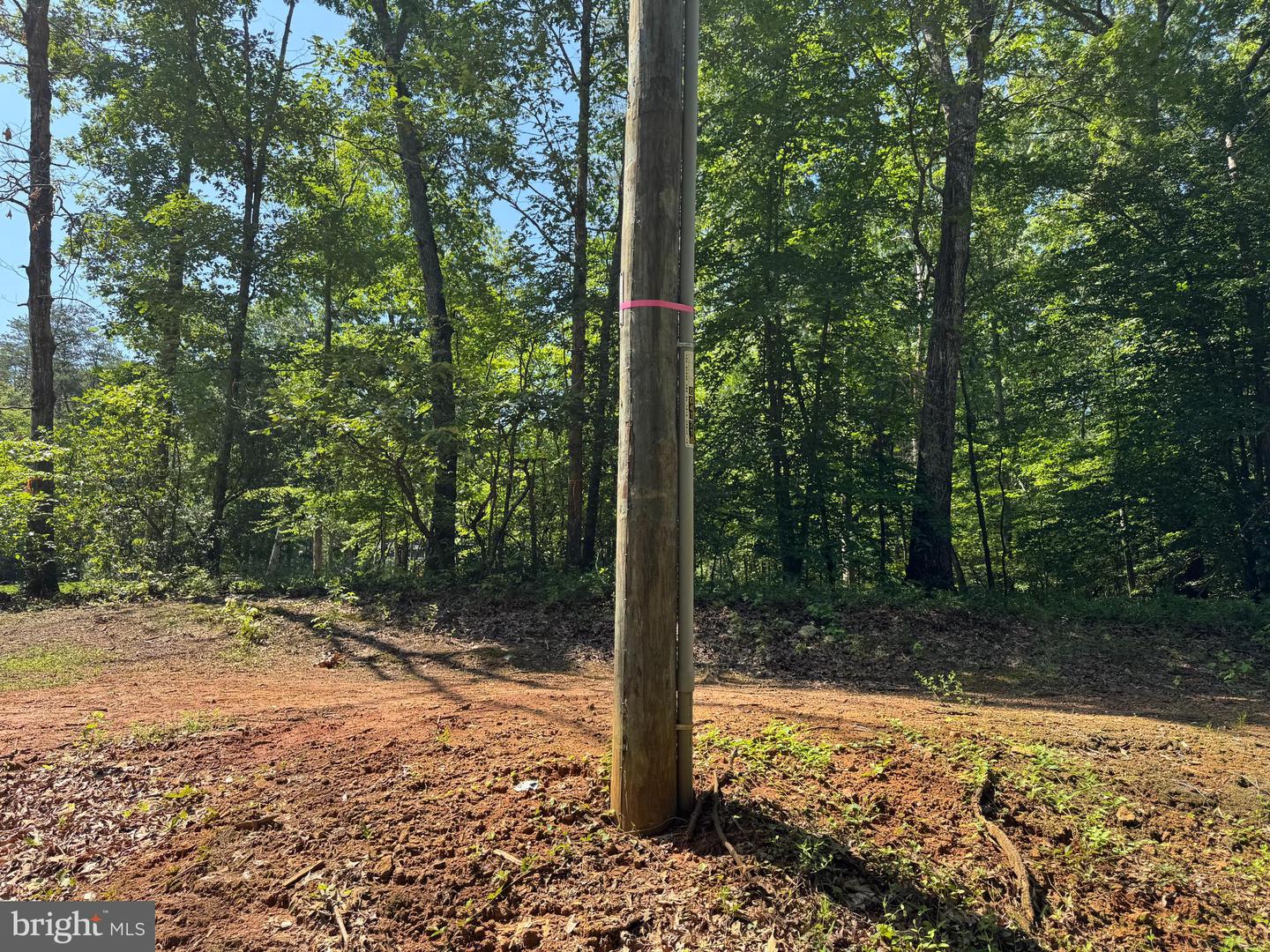 9609 PEPPERTREE RD, SPOTSYLVANIA, Virginia 22553, ,Land,For sale,9609 PEPPERTREE RD,VASP2034172 MLS # VASP2034172