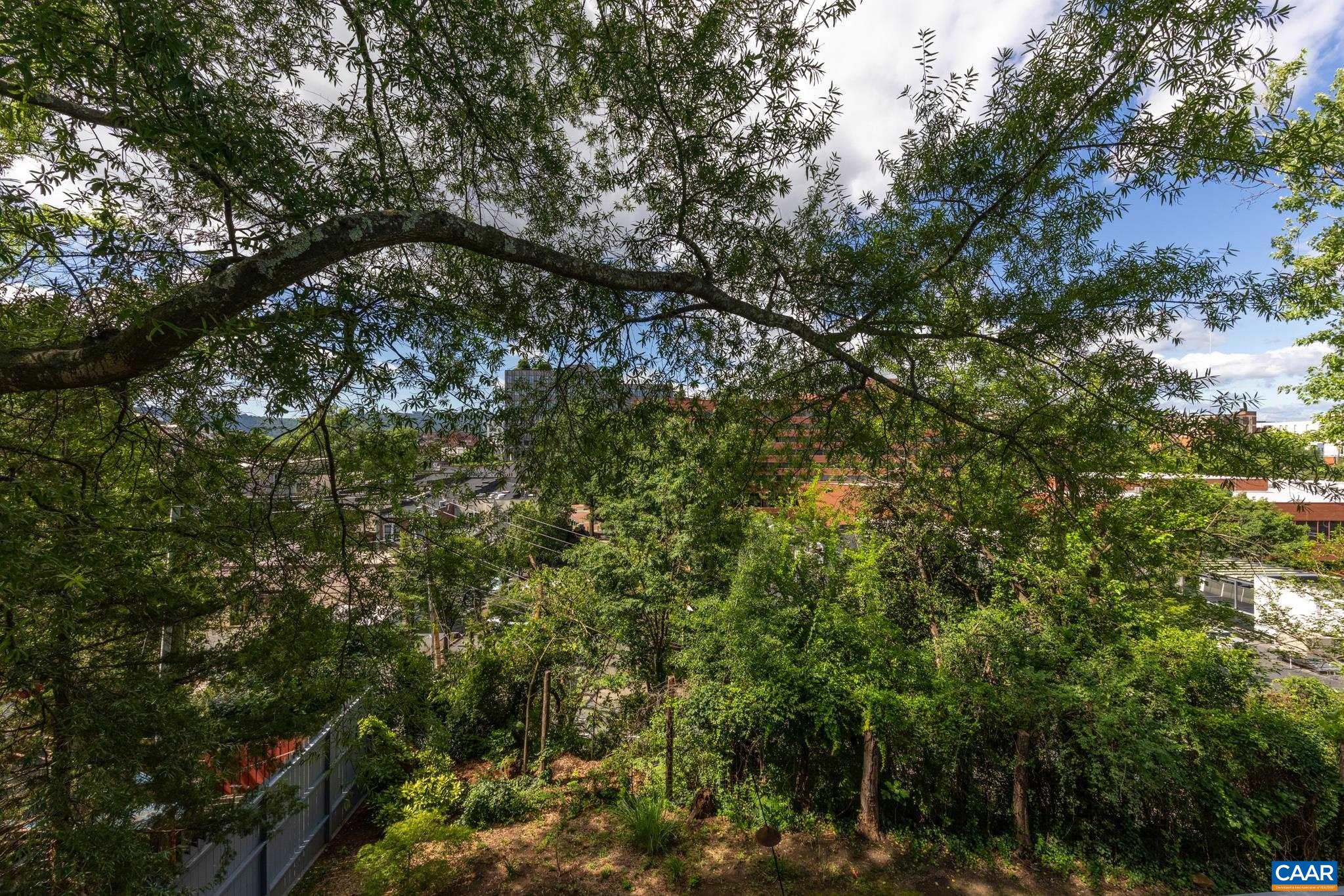203 NW SECOND ST, CHARLOTTESVILLE, Virginia 22902, 2 Bedrooms Bedrooms, ,2 BathroomsBathrooms,Residential,203 NW SECOND ST,666036 MLS # 666036