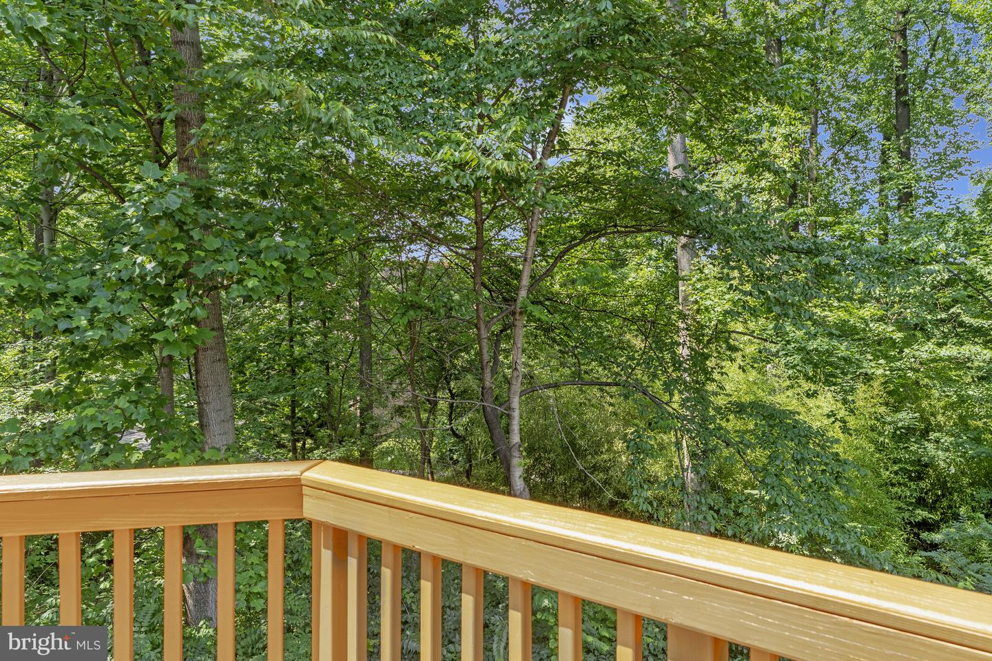 8530 RAGLAN RD, VIENNA, Virginia 22182, 4 Bedrooms Bedrooms, ,3 BathroomsBathrooms,Residential,For sale,8530 RAGLAN RD,VAFX2245098 MLS # VAFX2245098