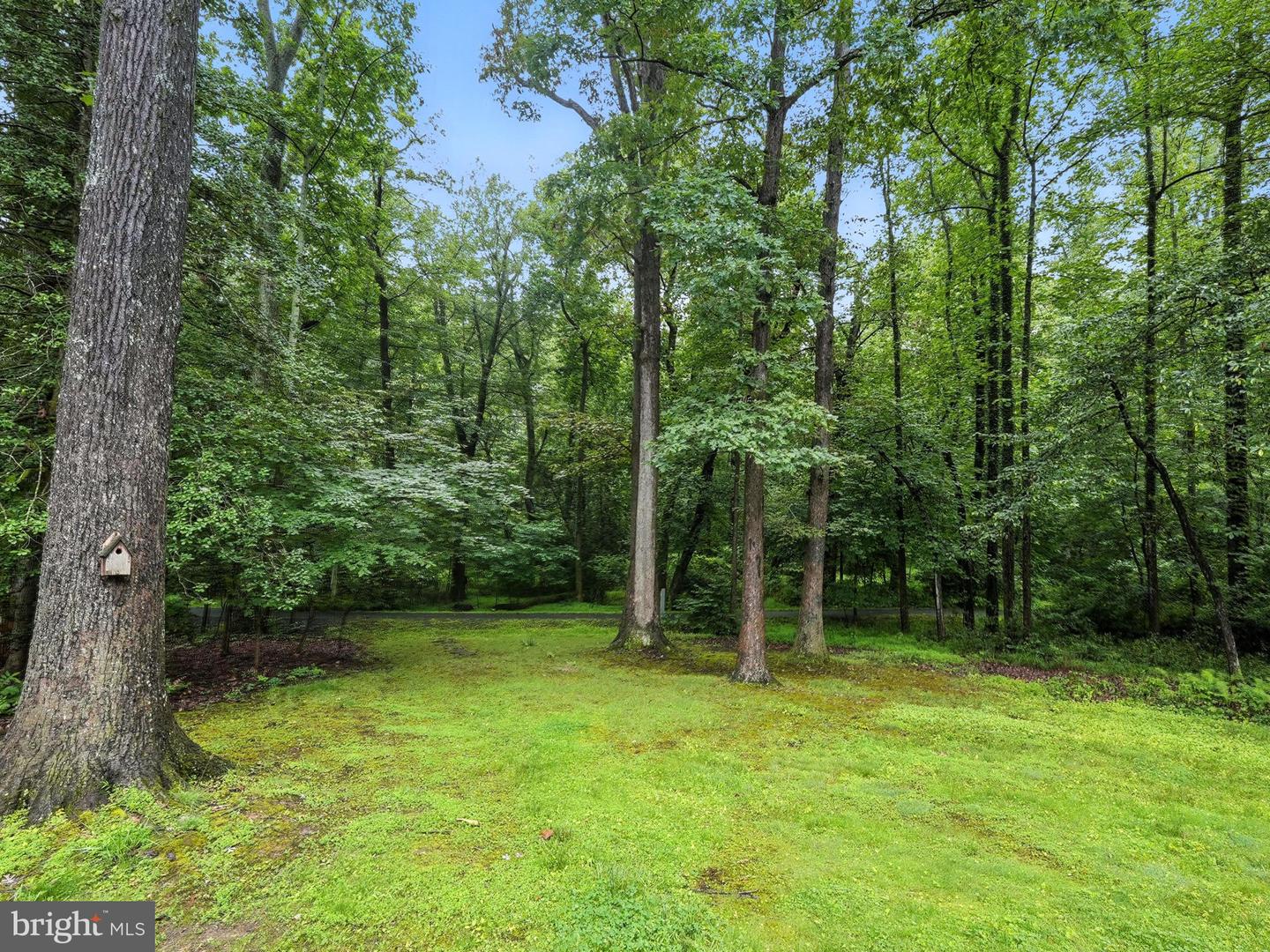 12134 STIRRUP RD, RESTON, Virginia 20191, 4 Bedrooms Bedrooms, ,3 BathroomsBathrooms,Residential,For sale,12134 STIRRUP RD,VAFX2245954 MLS # VAFX2245954