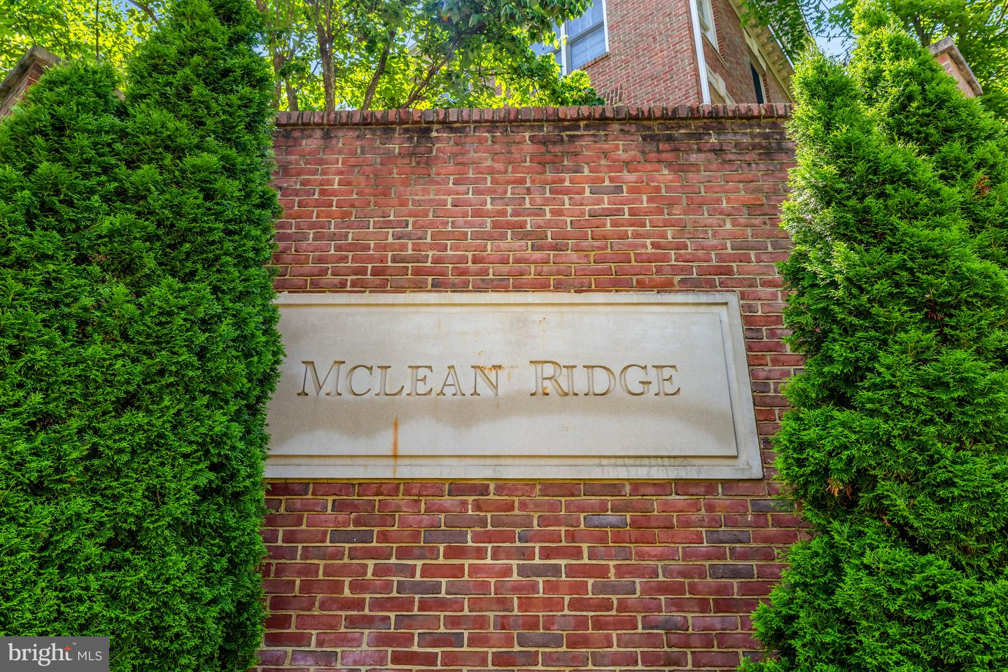 1650 COLONIAL HILLS DR, MCLEAN, Virginia 22102, 3 Bedrooms Bedrooms, ,3 BathroomsBathrooms,Residential,For sale,1650 COLONIAL HILLS DR,VAFX2245982 MLS # VAFX2245982