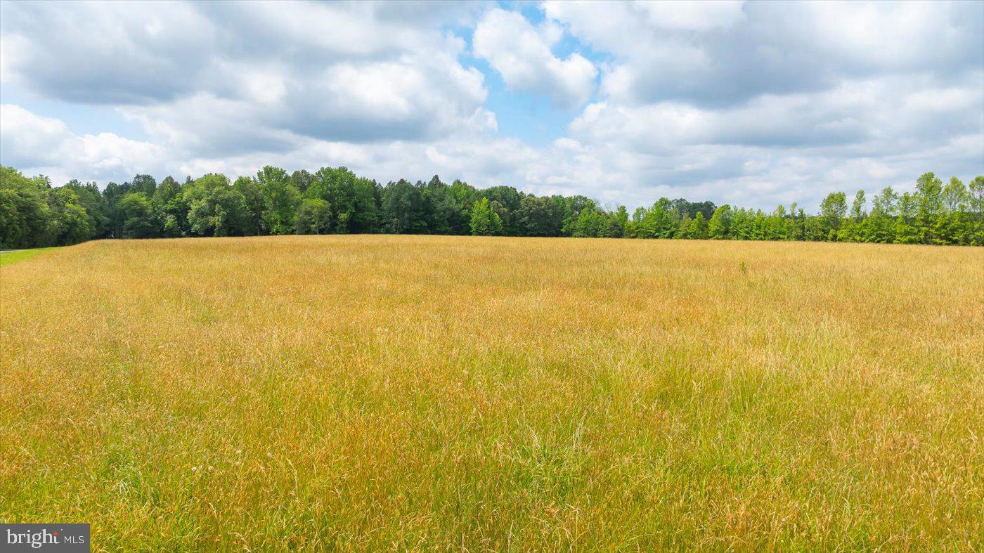9330 SUNSHINE SCHOOL RD, WOODFORD, Virginia 22580, 4 Bedrooms Bedrooms, ,3 BathroomsBathrooms,Farm,For sale,9330 SUNSHINE SCHOOL RD,VACV2008362 MLS # VACV2008362