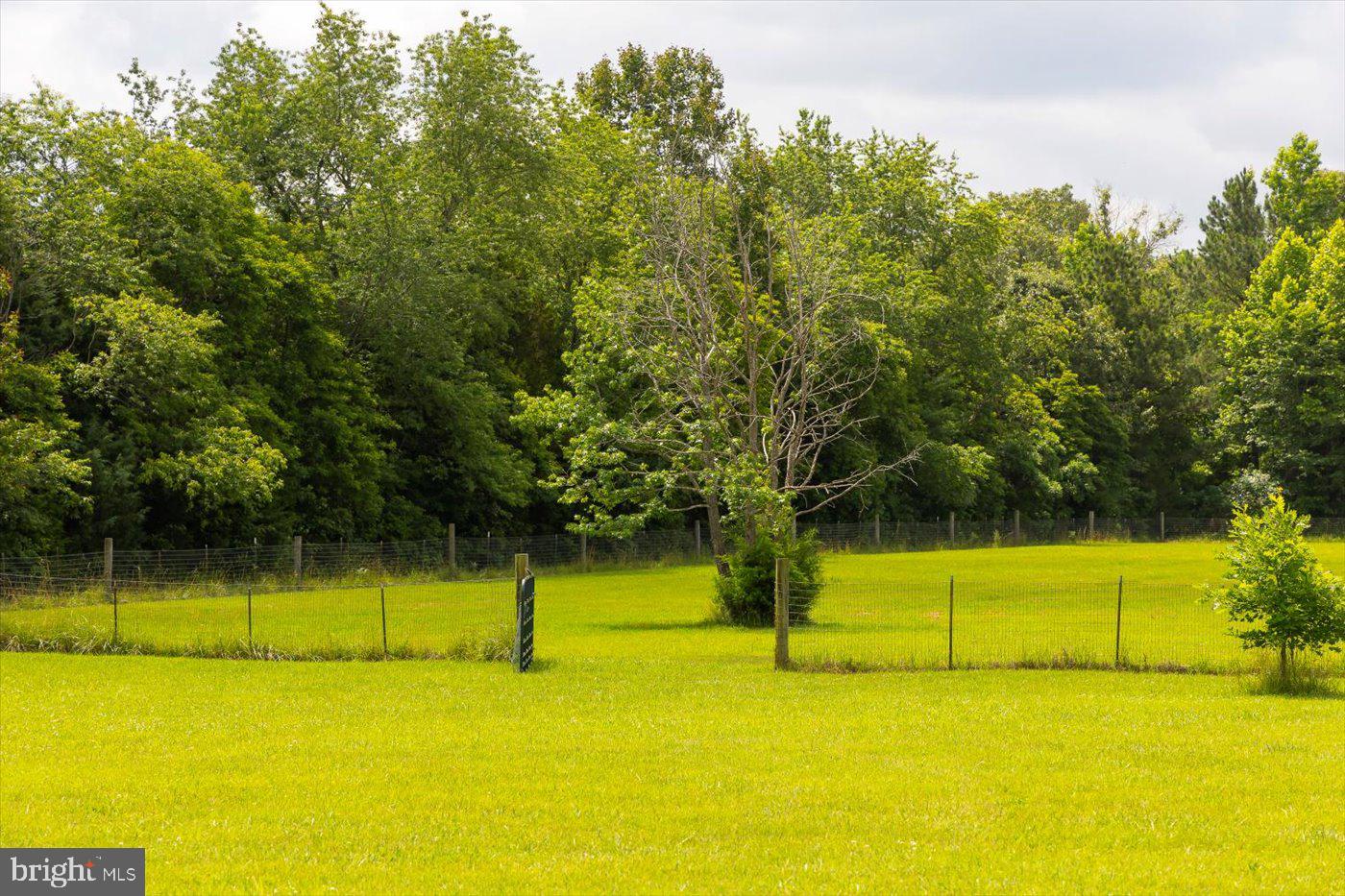 9330 SUNSHINE SCHOOL RD, WOODFORD, Virginia 22580, 4 Bedrooms Bedrooms, ,3 BathroomsBathrooms,Farm,For sale,9330 SUNSHINE SCHOOL RD,VACV2008362 MLS # VACV2008362