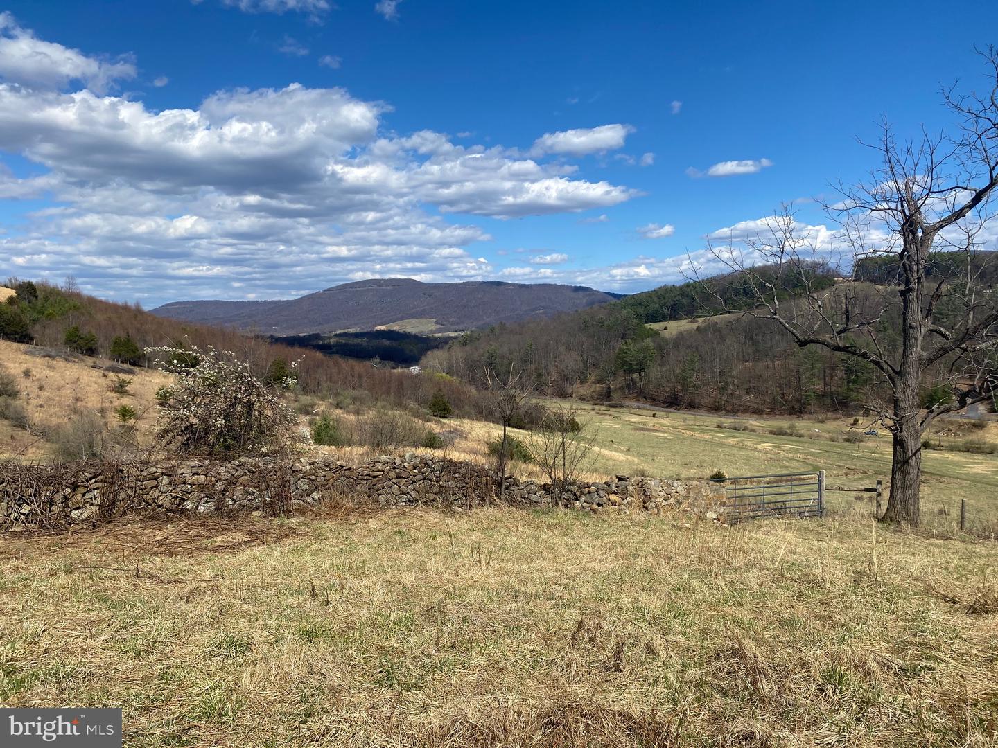 GOONEY MANOR LOOP GOONEY MANOR LOOP, BROWNTOWN, Virginia 22610, ,Land,For sale,GOONEY MANOR LOOP GOONEY MANOR LOOP,VAWR2010652 MLS # VAWR2010652