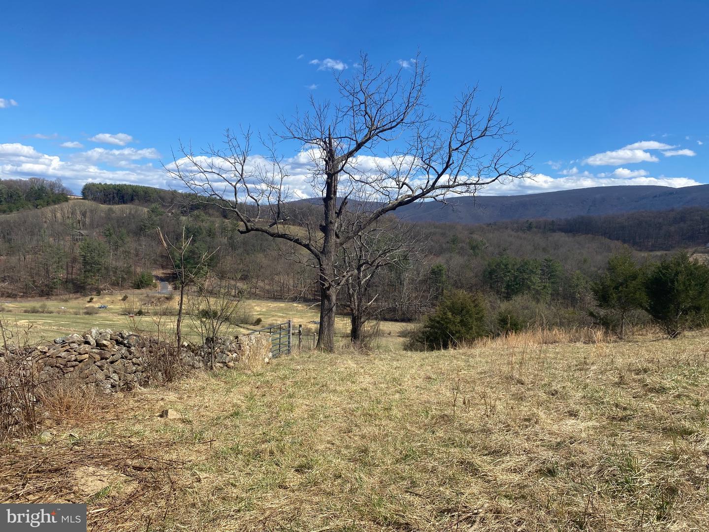 GOONEY MANOR LOOP GOONEY MANOR LOOP, BROWNTOWN, Virginia 22610, ,Land,For sale,GOONEY MANOR LOOP GOONEY MANOR LOOP,VAWR2010652 MLS # VAWR2010652