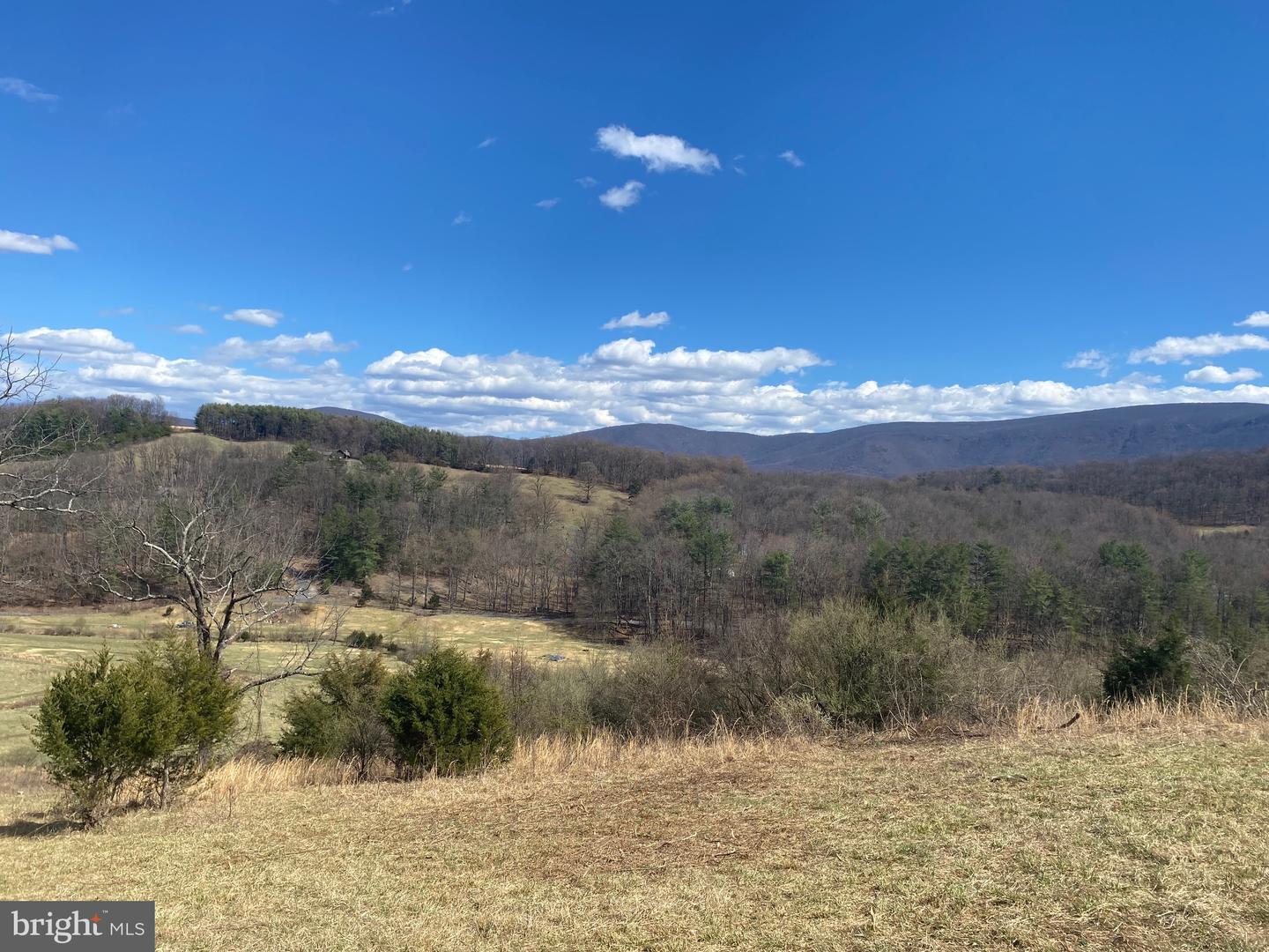 GOONEY MANOR LOOP GOONEY MANOR LOOP, BROWNTOWN, Virginia 22610, ,Land,For sale,GOONEY MANOR LOOP GOONEY MANOR LOOP,VAWR2010652 MLS # VAWR2010652