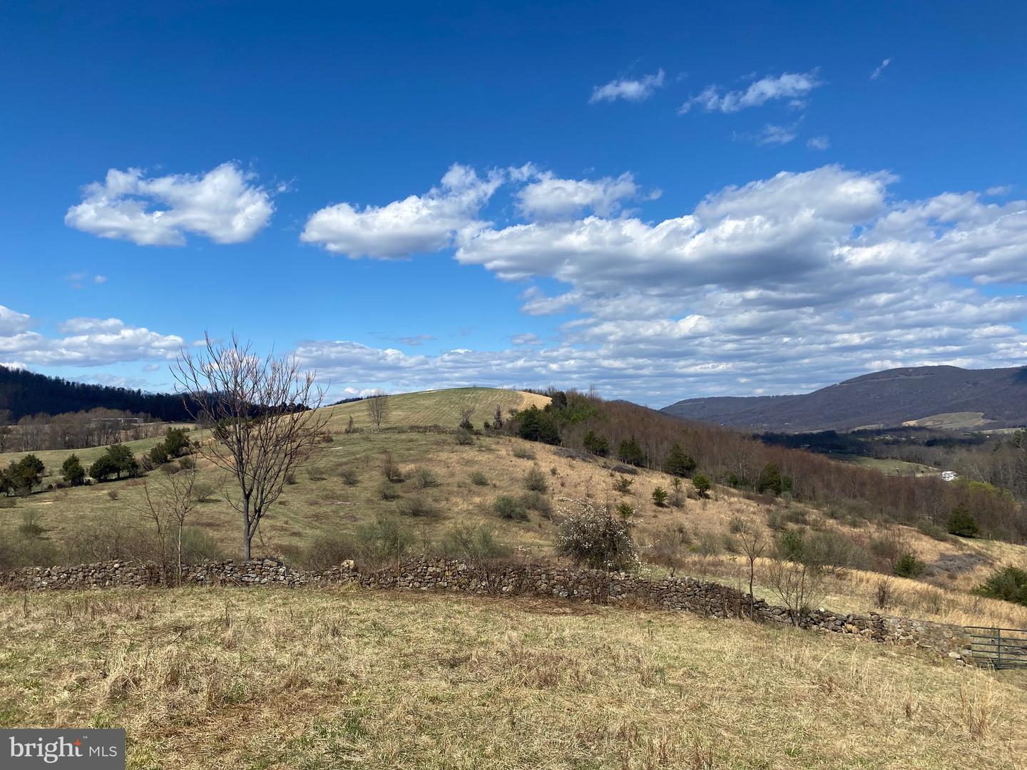 GOONEY MANOR LOOP GOONEY MANOR LOOP, BROWNTOWN, Virginia 22610, ,Land,For sale,GOONEY MANOR LOOP GOONEY MANOR LOOP,VAWR2010652 MLS # VAWR2010652