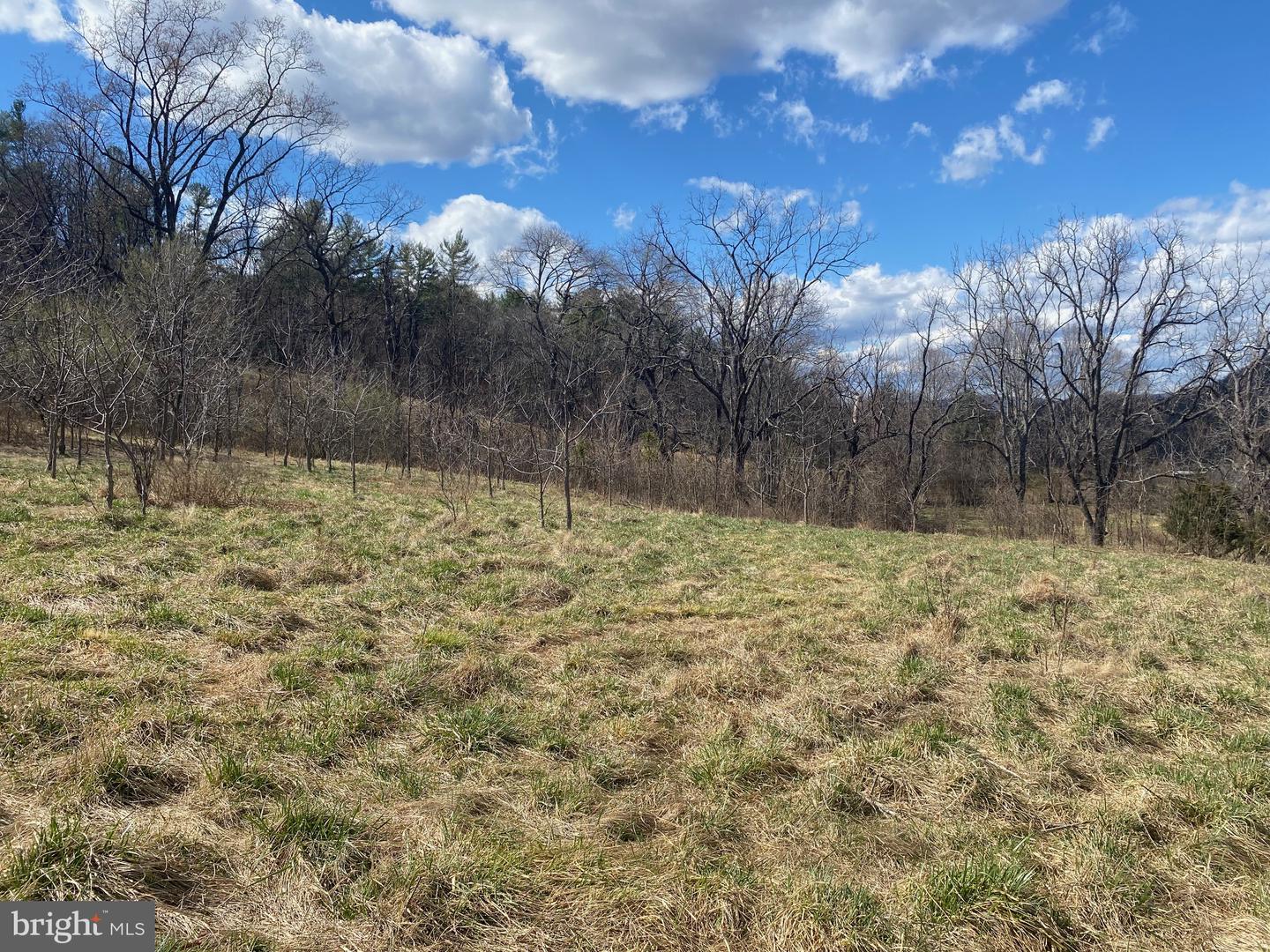 GOONEY MANOR LOOP GOONEY MANOR LOOP, BROWNTOWN, Virginia 22610, ,Land,For sale,GOONEY MANOR LOOP GOONEY MANOR LOOP,VAWR2010652 MLS # VAWR2010652