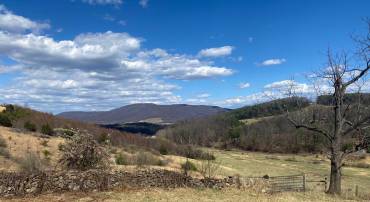 GOONEY MANOR LOOP GOONEY MANOR LOOP, BROWNTOWN, Virginia 22610, ,Land,For sale,GOONEY MANOR LOOP GOONEY MANOR LOOP,VAWR2010652 MLS # VAWR2010652