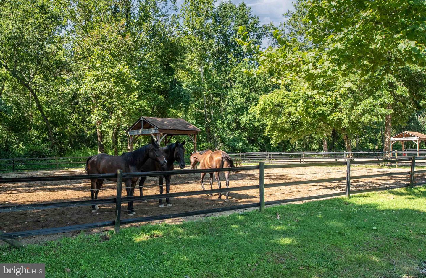 308 RAFT CV, STAFFORD, Virginia 22554, 4 Bedrooms Bedrooms, ,2 BathroomsBathrooms,Residential,For sale,308 RAFT CV,VAST2039732 MLS # VAST2039732