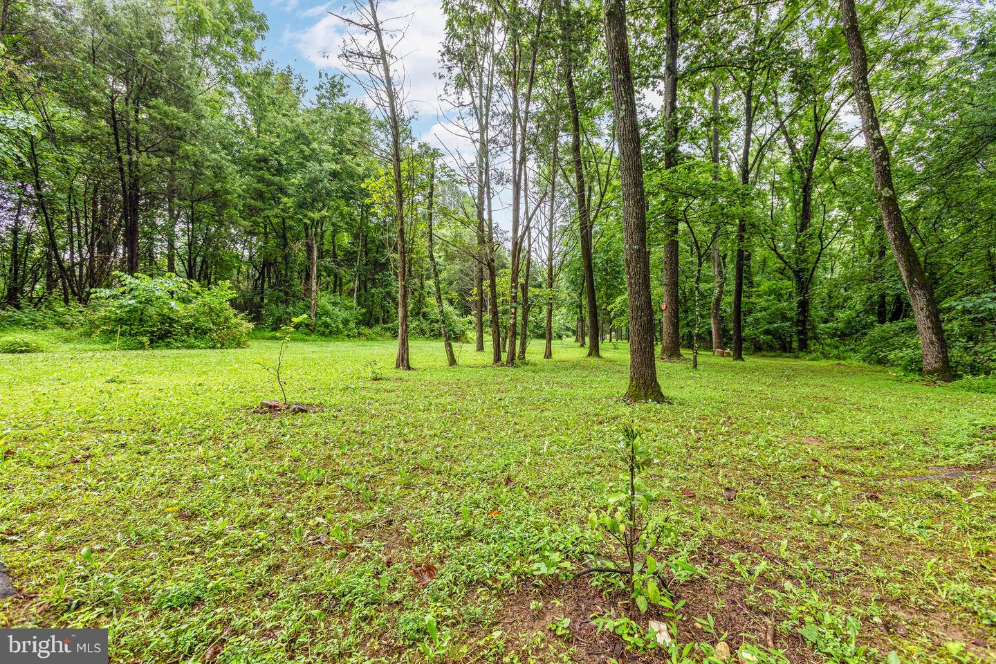 9071 OLD CULPEPER RD, WARRENTON, Virginia 20186, 3 Bedrooms Bedrooms, ,3 BathroomsBathrooms,Residential,For sale,9071 OLD CULPEPER RD,VAFQ2017082 MLS # VAFQ2017082