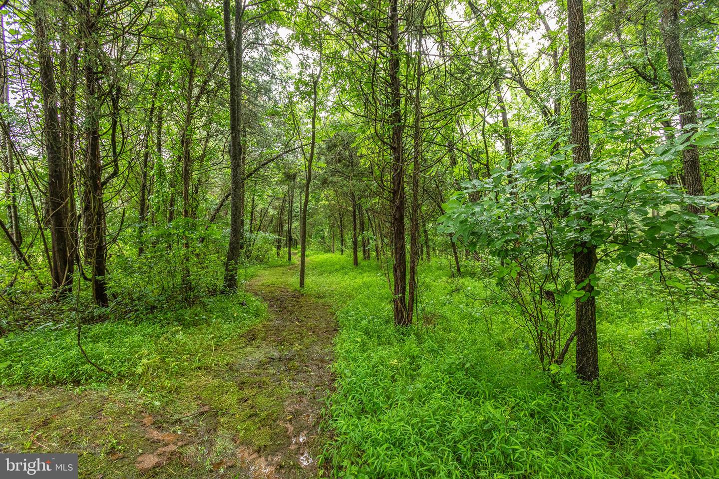 9071 OLD CULPEPER RD, WARRENTON, Virginia 20186, 3 Bedrooms Bedrooms, ,3 BathroomsBathrooms,Residential,For sale,9071 OLD CULPEPER RD,VAFQ2017082 MLS # VAFQ2017082