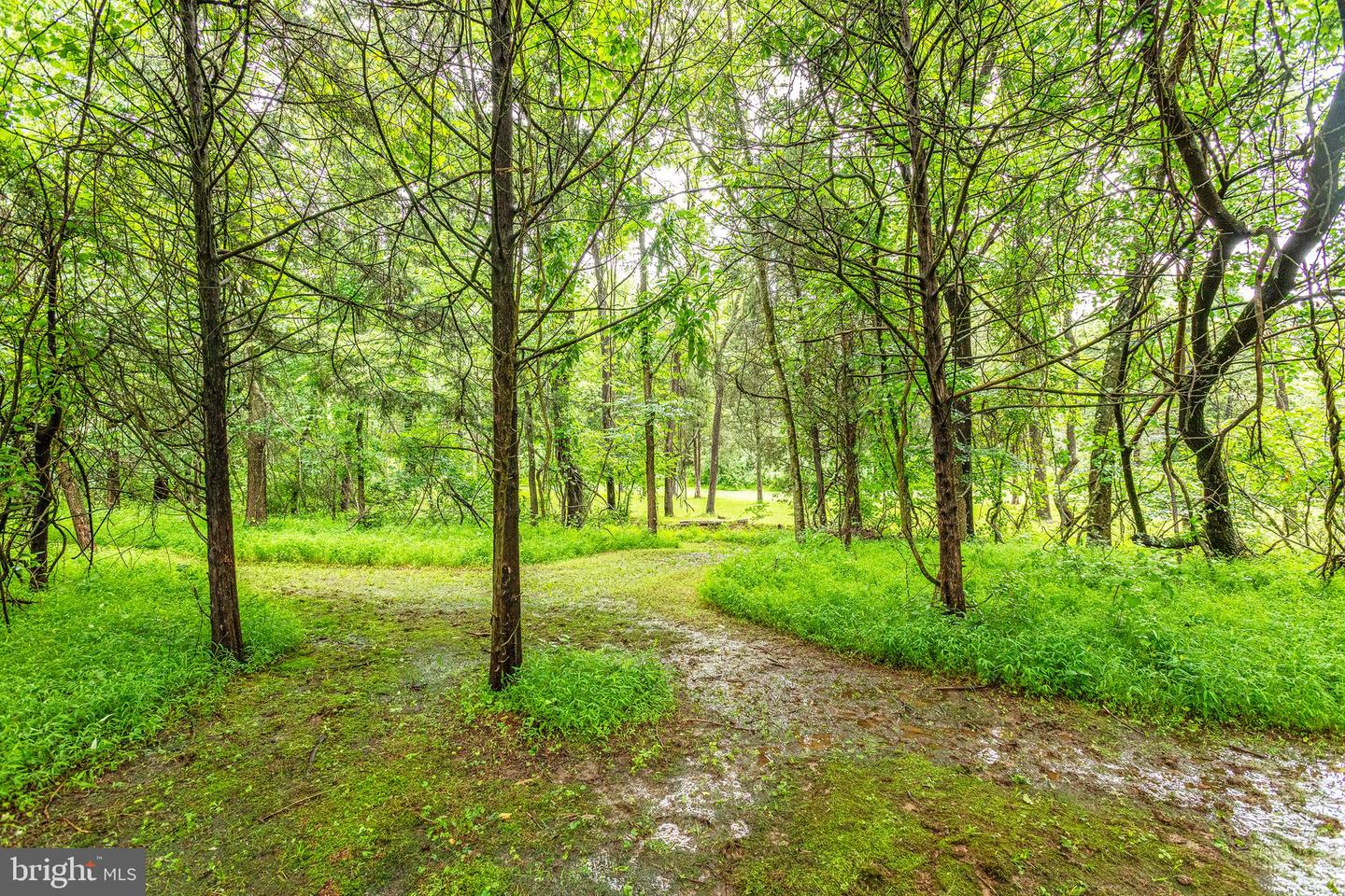 9071 OLD CULPEPER RD, WARRENTON, Virginia 20186, 3 Bedrooms Bedrooms, ,3 BathroomsBathrooms,Residential,For sale,9071 OLD CULPEPER RD,VAFQ2017082 MLS # VAFQ2017082