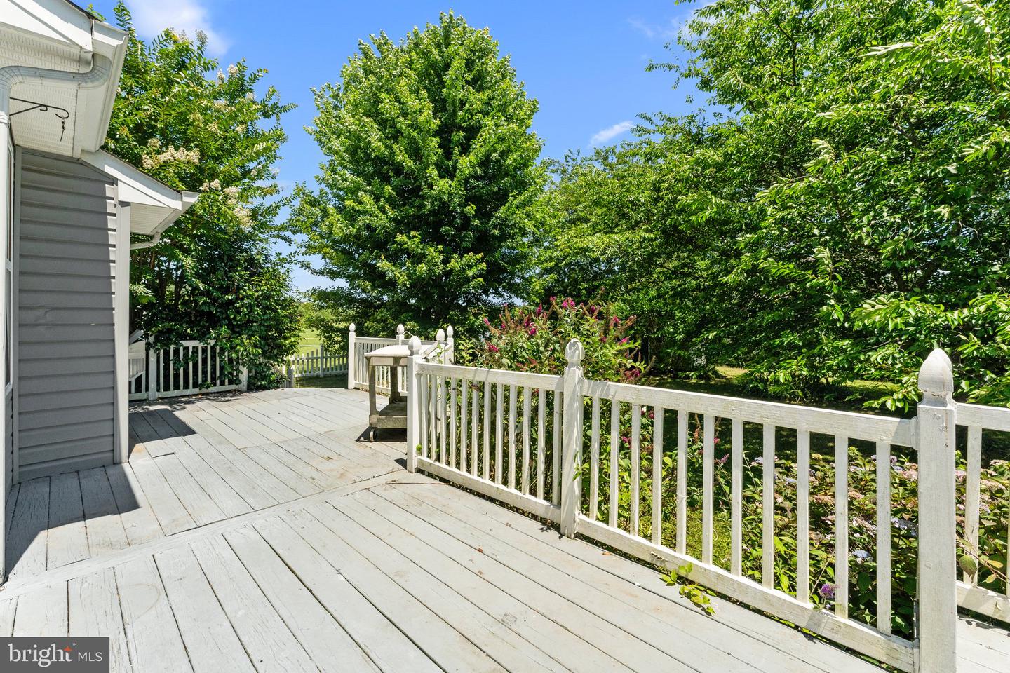 135 HOBBS HOLE LN, TAPPAHANNOCK, Virginia 22560, 4 Bedrooms Bedrooms, 7 Rooms Rooms,2 BathroomsBathrooms,Residential,For sale,135 HOBBS HOLE LN,VAES2000906 MLS # VAES2000906