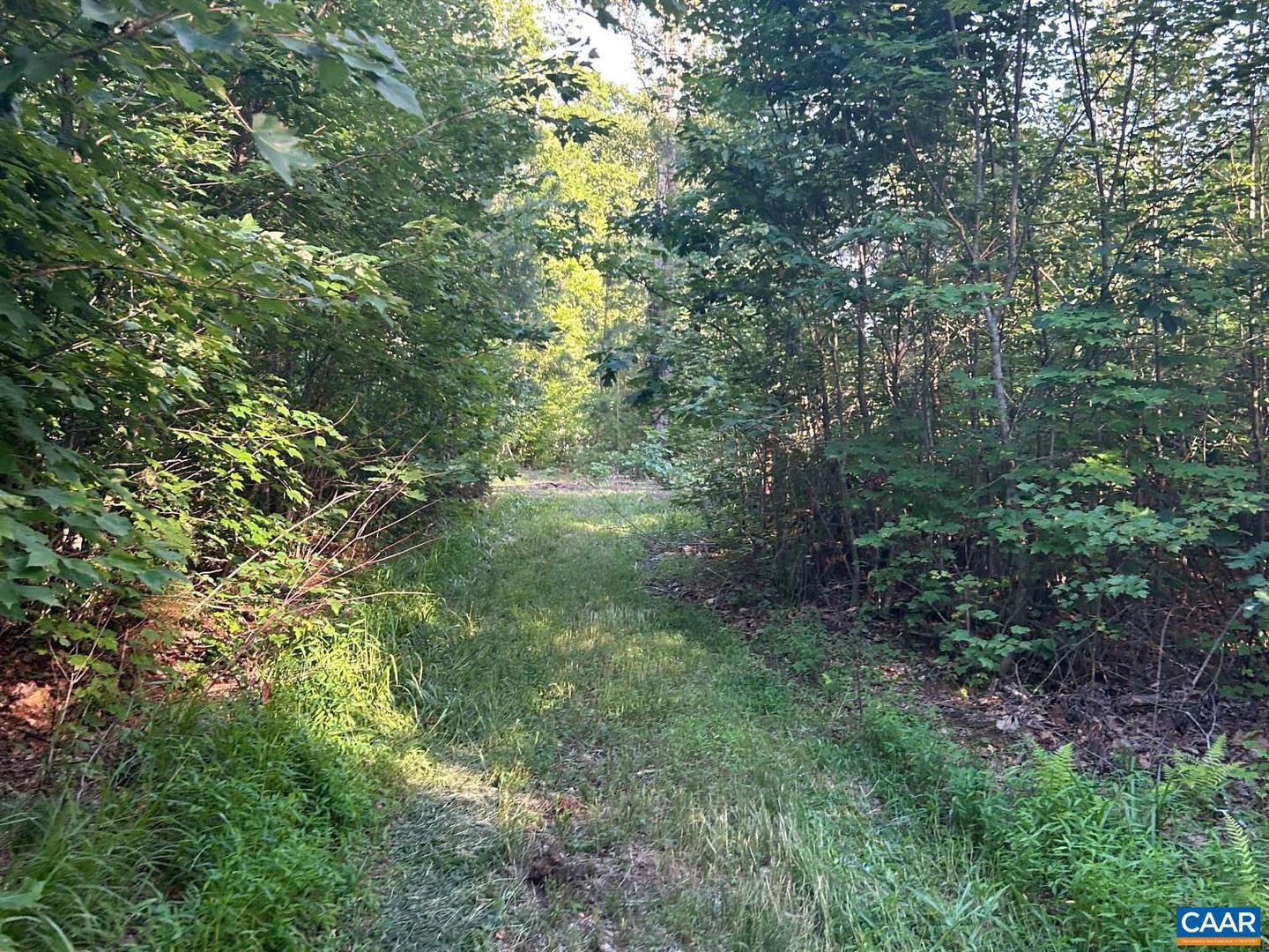 2550/2546 HUNDLEY BRANCH RD, SCOTTSVILLE, Virginia 24590, 3 Bedrooms Bedrooms, ,2 BathroomsBathrooms,Residential,For sale,2550/2546 HUNDLEY BRANCH RD,665885 MLS # 665885