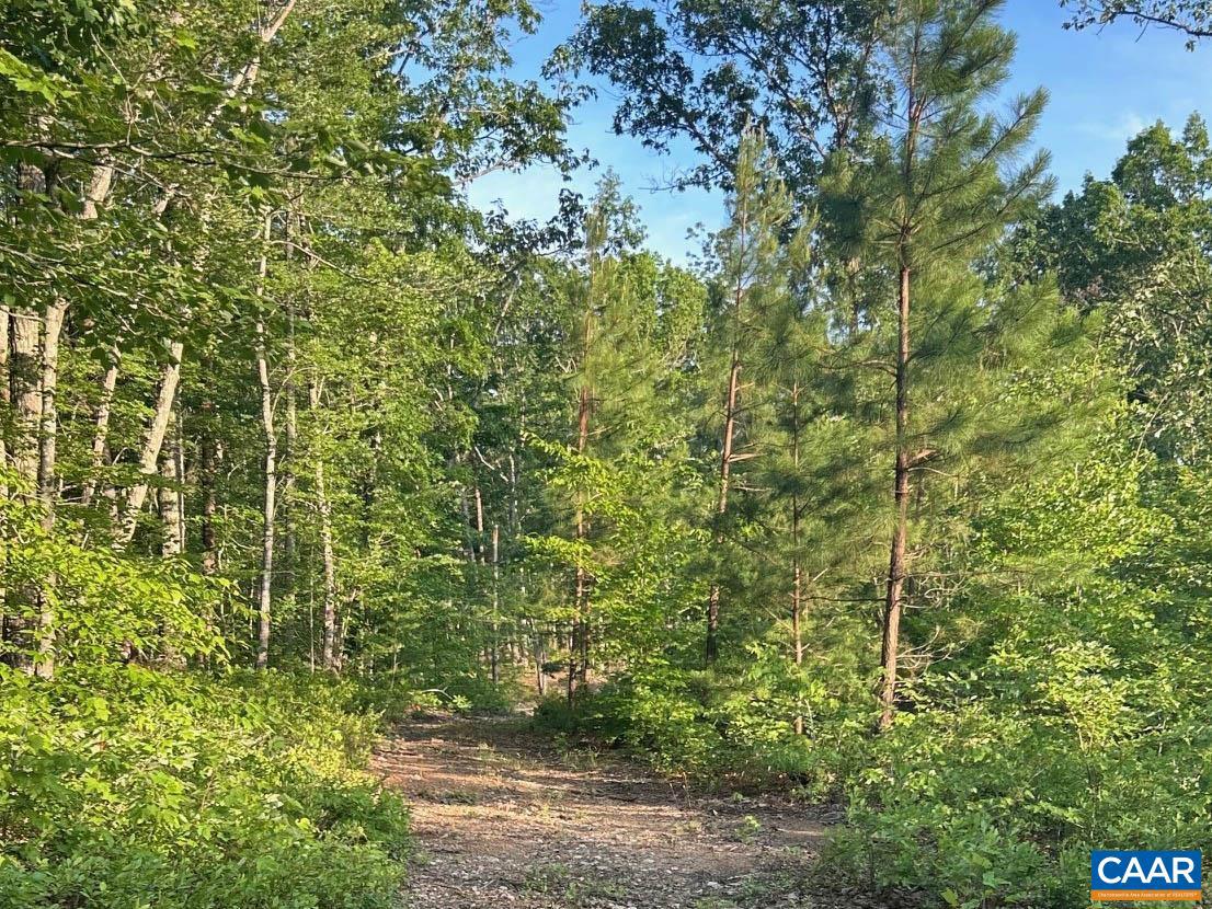 2550/2546 HUNDLEY BRANCH RD, SCOTTSVILLE, Virginia 24590, 3 Bedrooms Bedrooms, ,2 BathroomsBathrooms,Residential,For sale,2550/2546 HUNDLEY BRANCH RD,665885 MLS # 665885