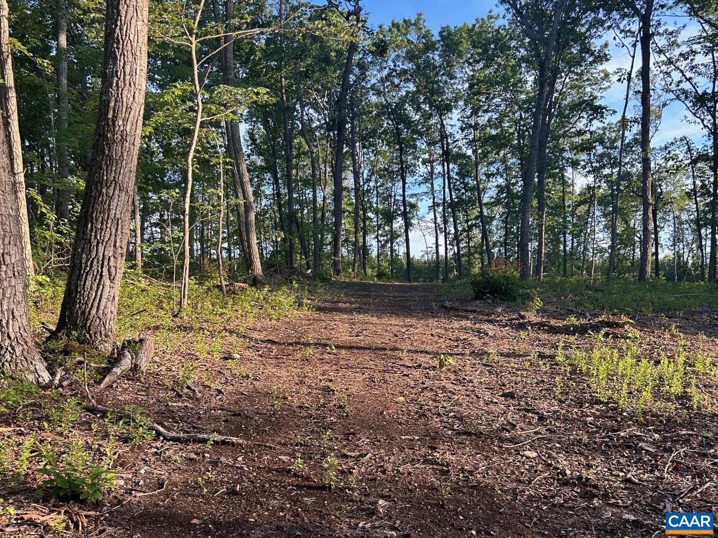 2550/2546 HUNDLEY BRANCH RD, SCOTTSVILLE, Virginia 24590, 3 Bedrooms Bedrooms, ,2 BathroomsBathrooms,Residential,For sale,2550/2546 HUNDLEY BRANCH RD,665885 MLS # 665885