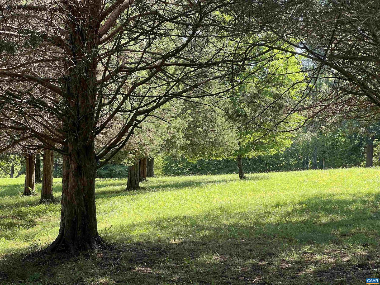 2550/2546 HUNDLEY BRANCH RD, SCOTTSVILLE, Virginia 24590, 3 Bedrooms Bedrooms, ,2 BathroomsBathrooms,Residential,For sale,2550/2546 HUNDLEY BRANCH RD,665885 MLS # 665885