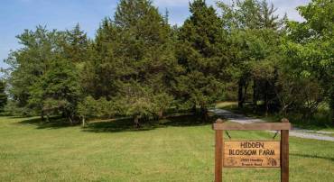 2550/2546 HUNDLEY BRANCH RD, SCOTTSVILLE, Virginia 24590, 3 Bedrooms Bedrooms, ,2 BathroomsBathrooms,Residential,For sale,2550/2546 HUNDLEY BRANCH RD,665885 MLS # 665885