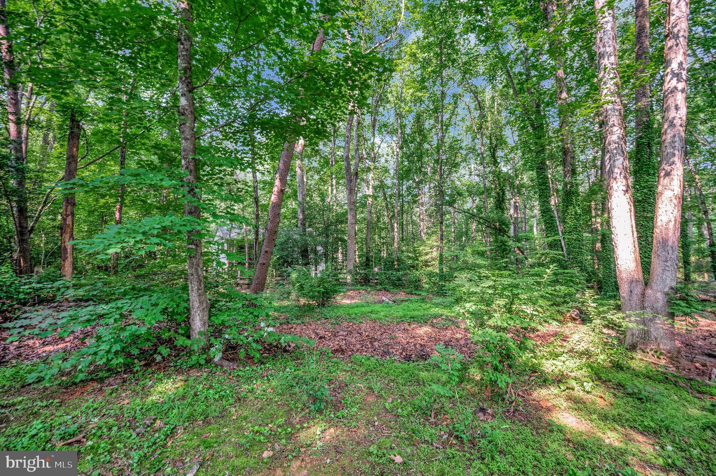 12502 QUARTER CHARGE DR, SPOTSYLVANIA, Virginia 22551, 4 Bedrooms Bedrooms, ,3 BathroomsBathrooms,Residential,For sale,12502 QUARTER CHARGE DR,VASP2033488 MLS # VASP2033488