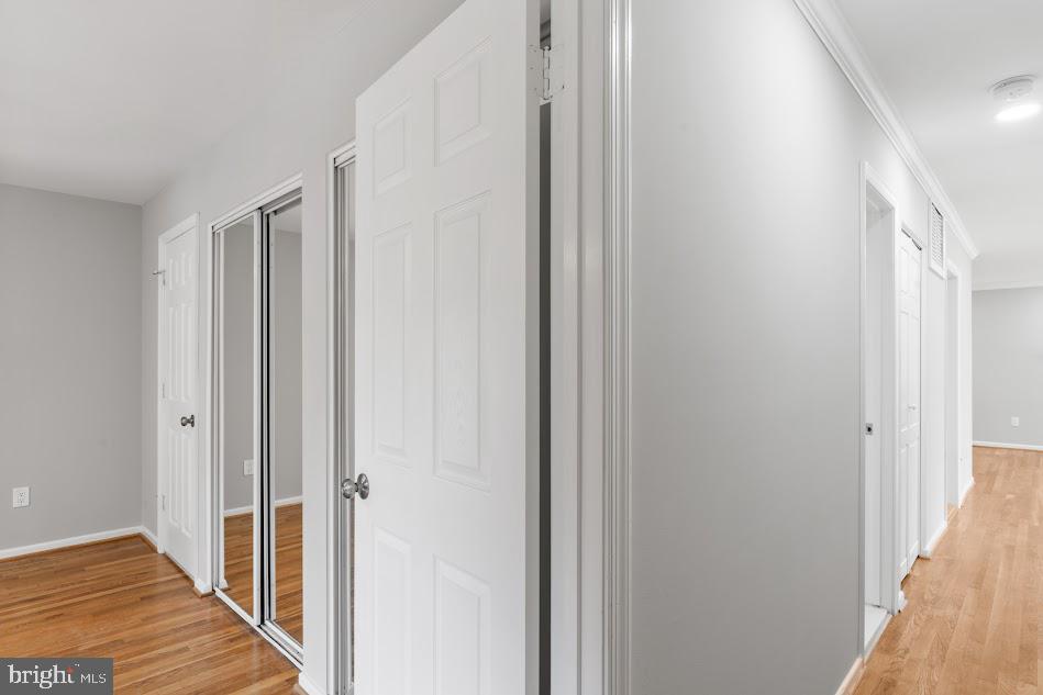 1121 COLLINGWOOD RD, ALEXANDRIA, Virginia 22308, 5 Bedrooms Bedrooms, ,3 BathroomsBathrooms,Residential,For sale,1121 COLLINGWOOD RD,VAFX2247144 MLS # VAFX2247144