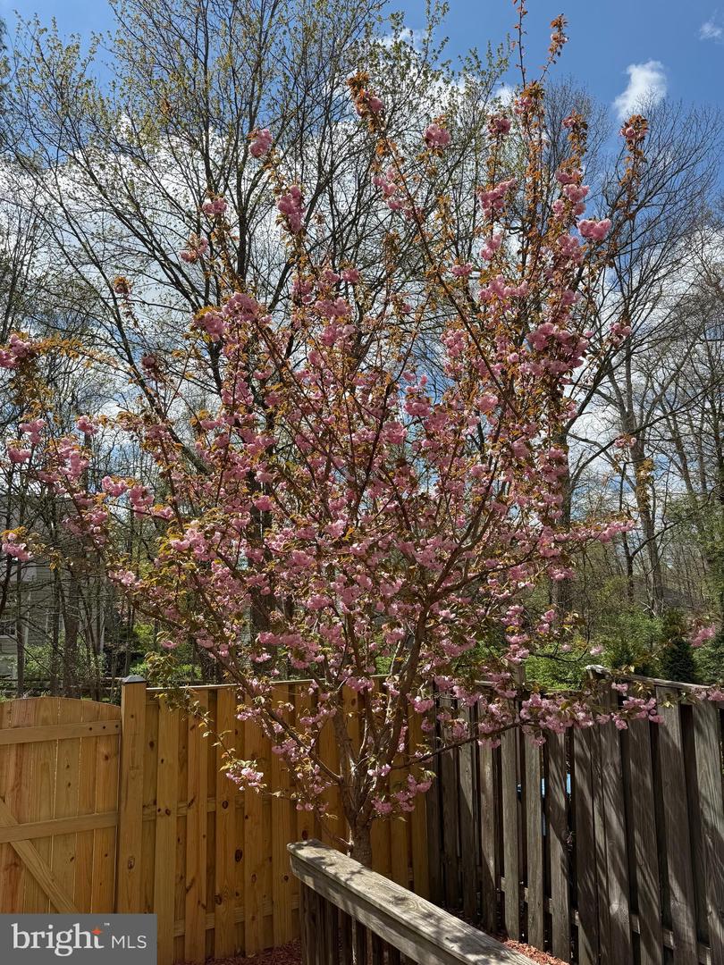 297 CHELMSFORD CT, STERLING, Virginia 20165, 3 Bedrooms Bedrooms, ,2 BathroomsBathrooms,Residential,For sale,297 CHELMSFORD CT,VALO2099596 MLS # VALO2099596