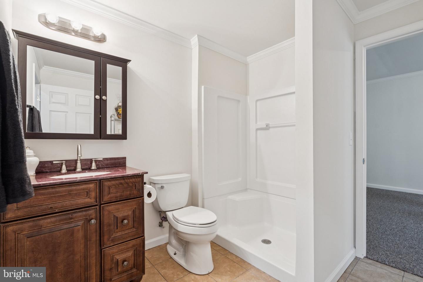 15601 MALVOSIN PL, LEESBURG, Virginia 20176, 5 Bedrooms Bedrooms, ,4 BathroomsBathrooms,Residential,For sale,15601 MALVOSIN PL,VALO2099656 MLS # VALO2099656