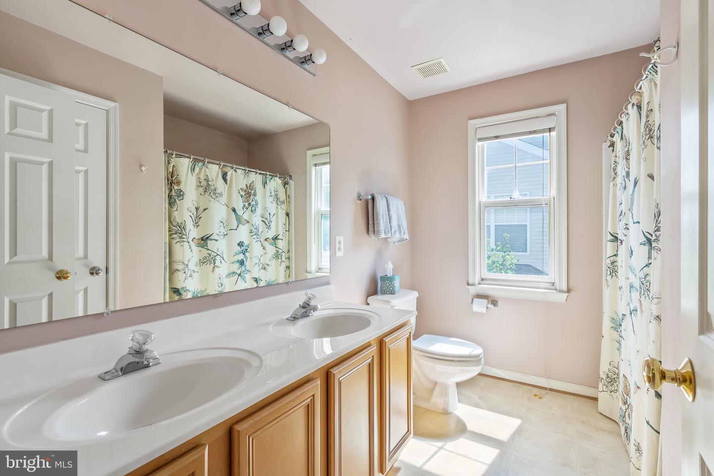 43438 MINK MEADOWS ST, CHANTILLY, Virginia 20152, 4 Bedrooms Bedrooms, ,3 BathroomsBathrooms,Residential,For sale,43438 MINK MEADOWS ST,VALO2099240 MLS # VALO2099240