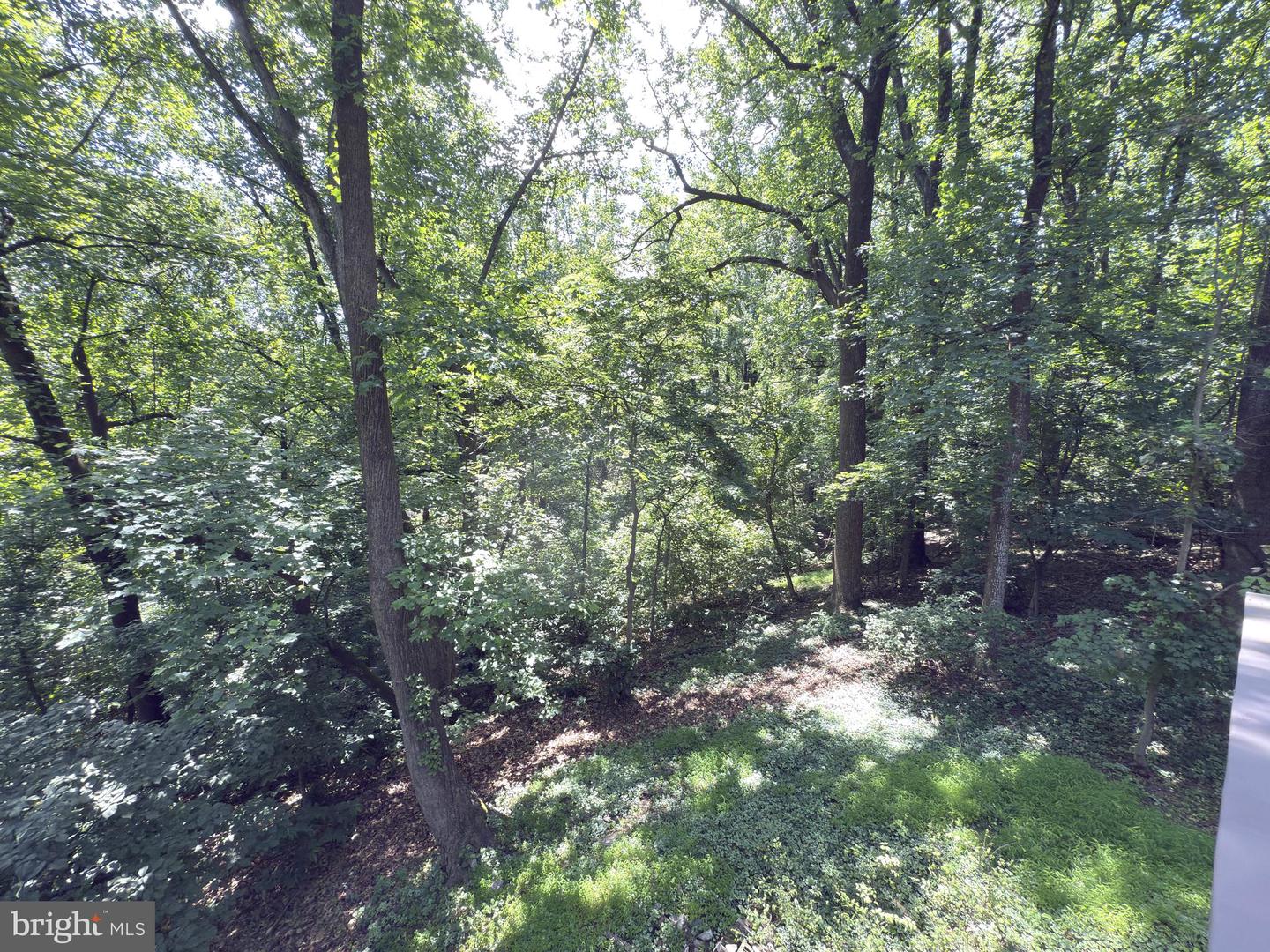 132 PINE CREST LANE, BLUEMONT, Virginia 20135, 3 Bedrooms Bedrooms, ,2 BathroomsBathrooms,Residential,For sale,132 PINE CREST LANE,VACL2003856 MLS # VACL2003856