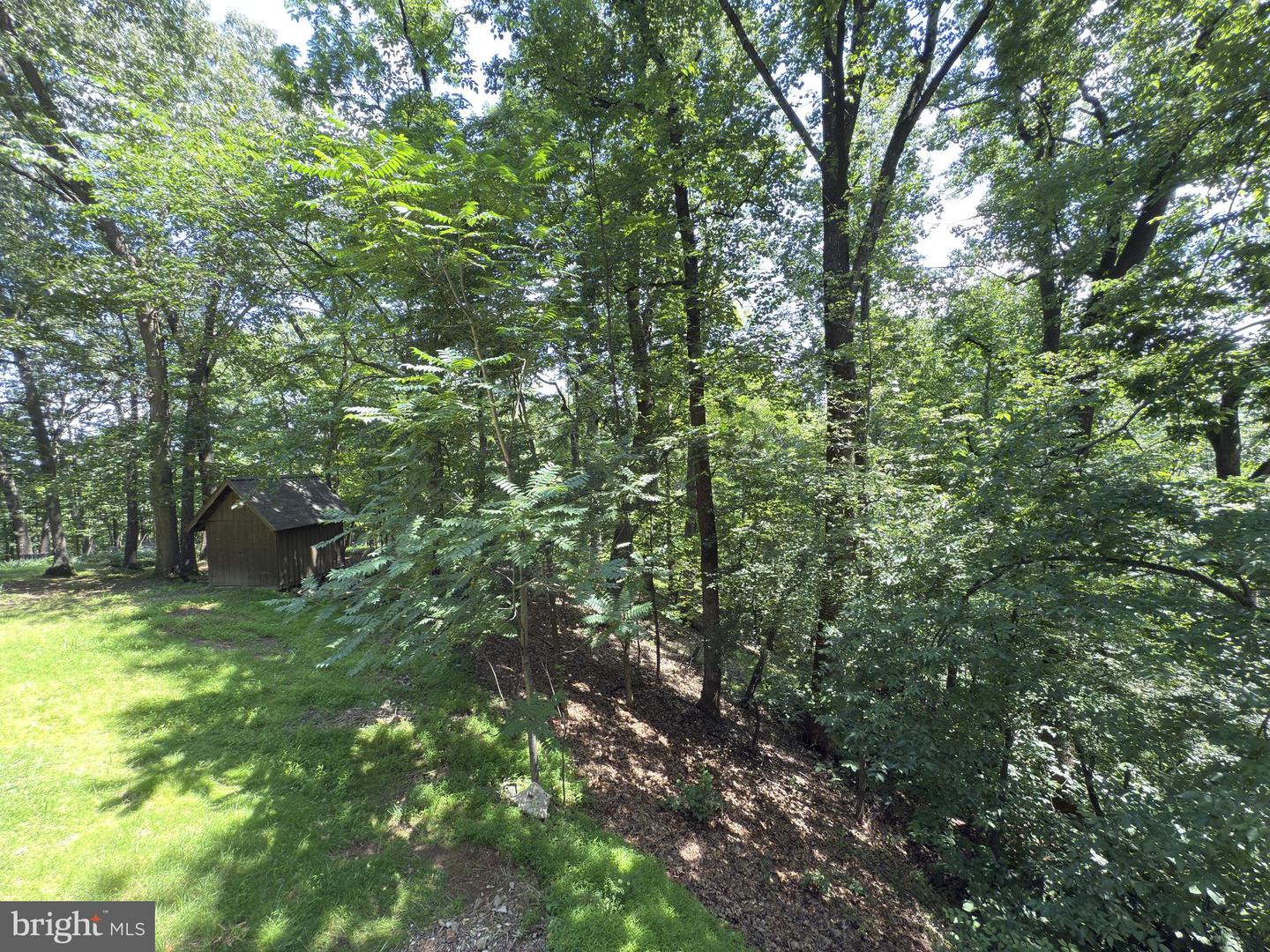 132 PINE CREST LANE, BLUEMONT, Virginia 20135, 3 Bedrooms Bedrooms, ,2 BathroomsBathrooms,Residential,For sale,132 PINE CREST LANE,VACL2003856 MLS # VACL2003856