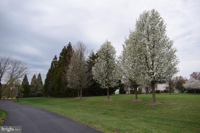 36453 DWYER CT, ROUND HILL, Virginia 20141, 4 Bedrooms Bedrooms, ,4 BathroomsBathrooms,Residential,For sale,36453 DWYER CT,VALO2099820 MLS # VALO2099820